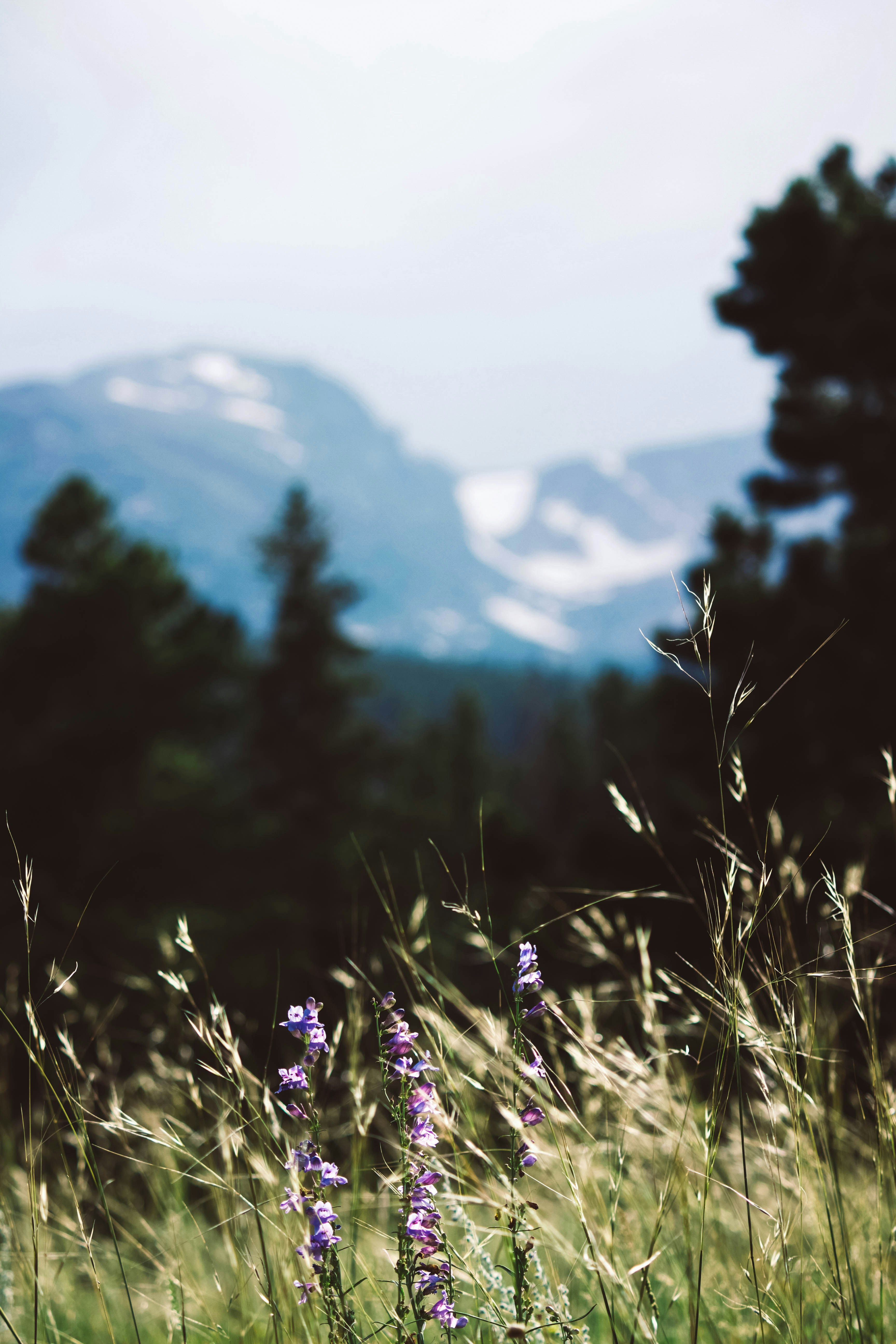 Photo by jessicalfadel