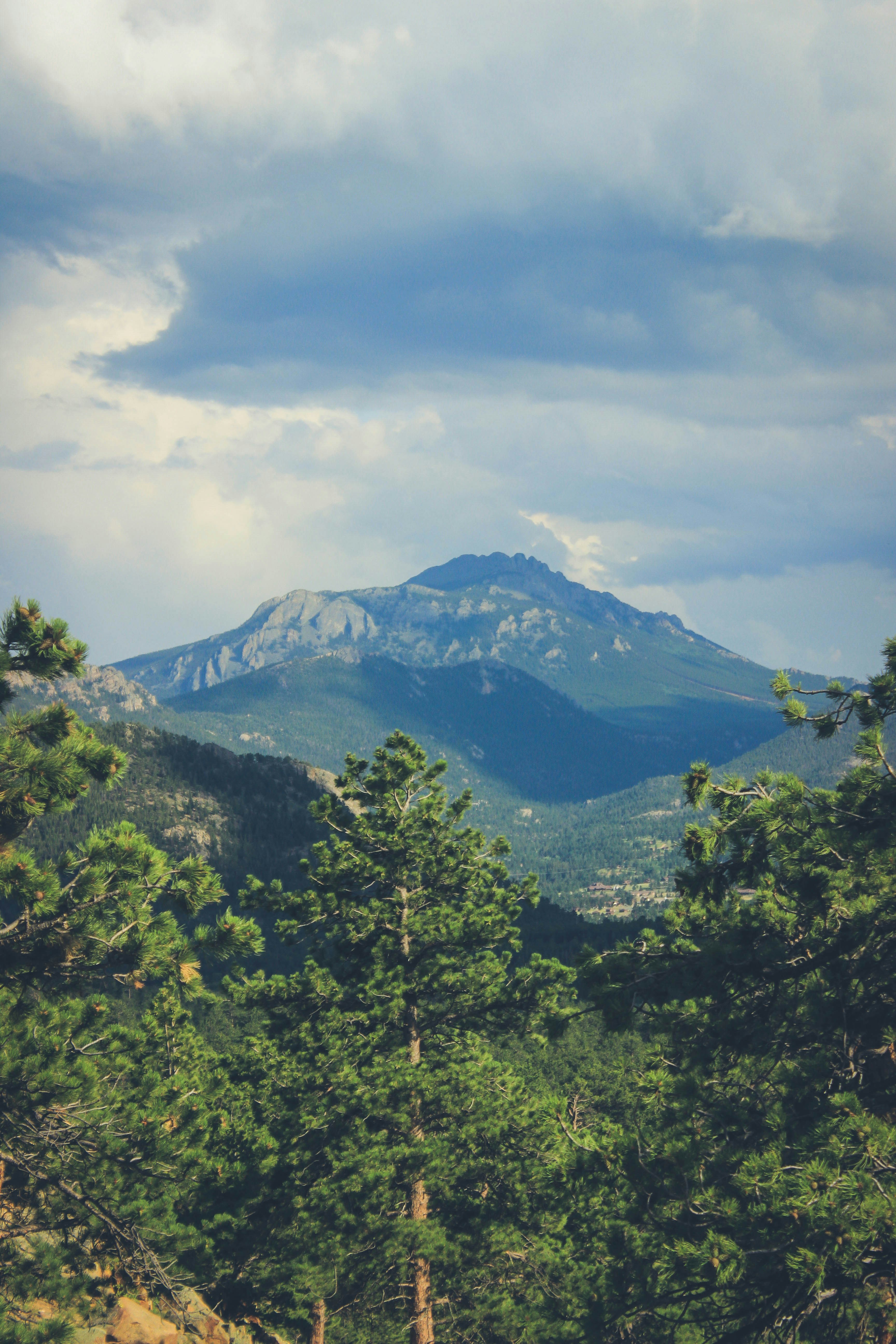 Photo by jessicalfadel