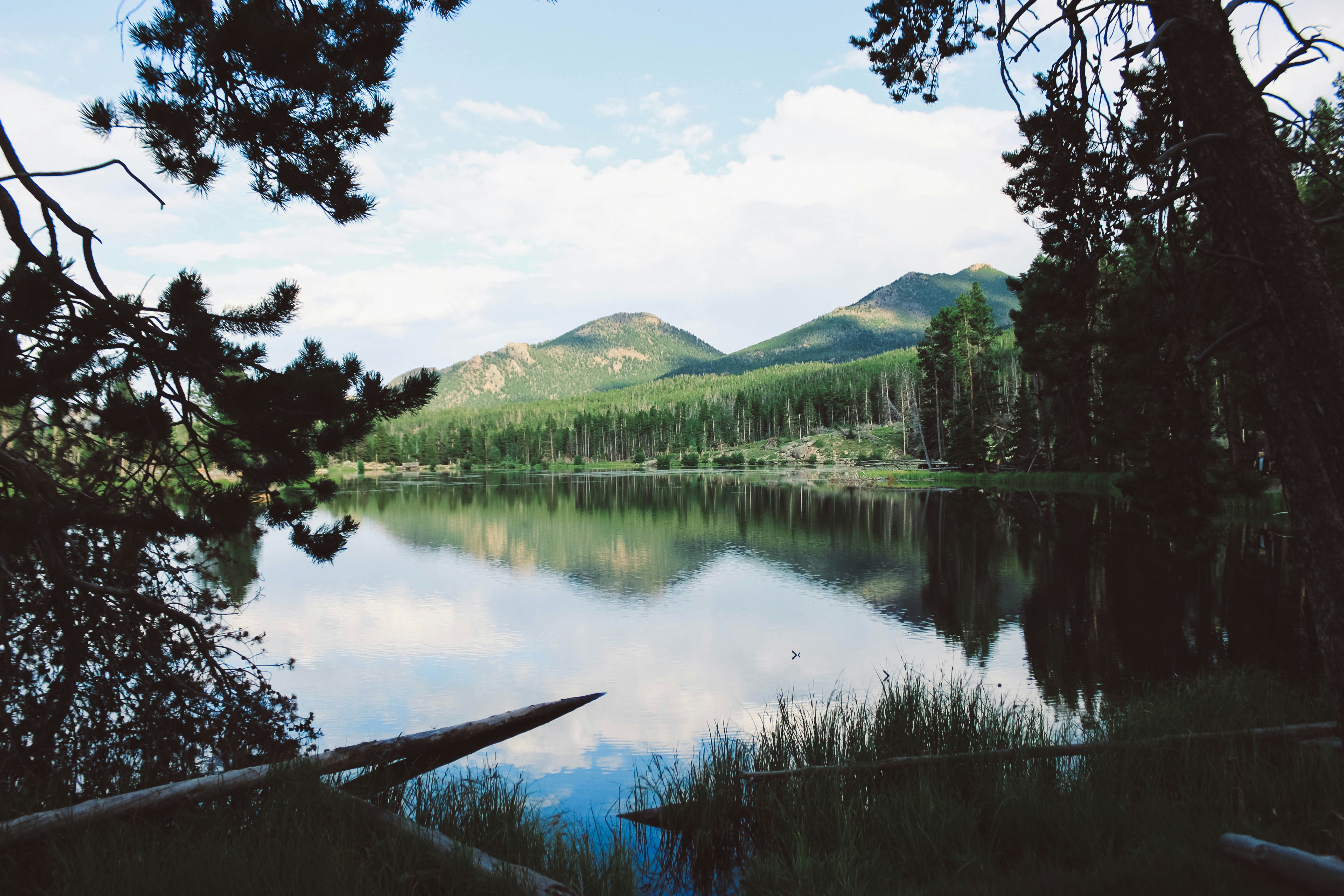 Photo by jessicalfadel