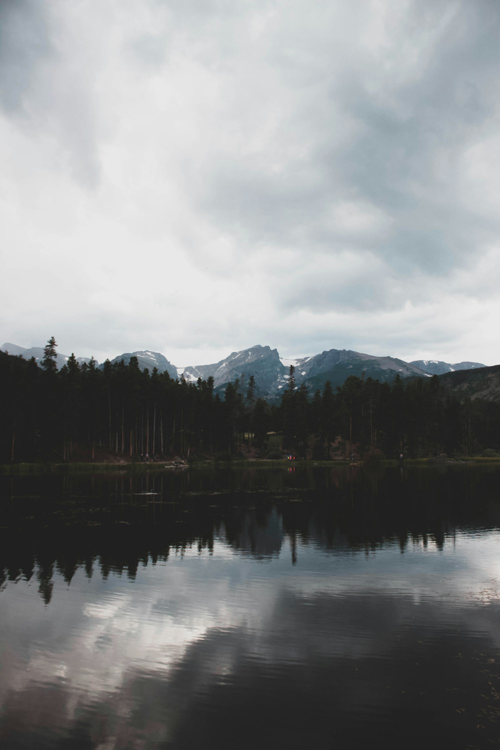 body of water showing reflections of trees during cloudy daytime