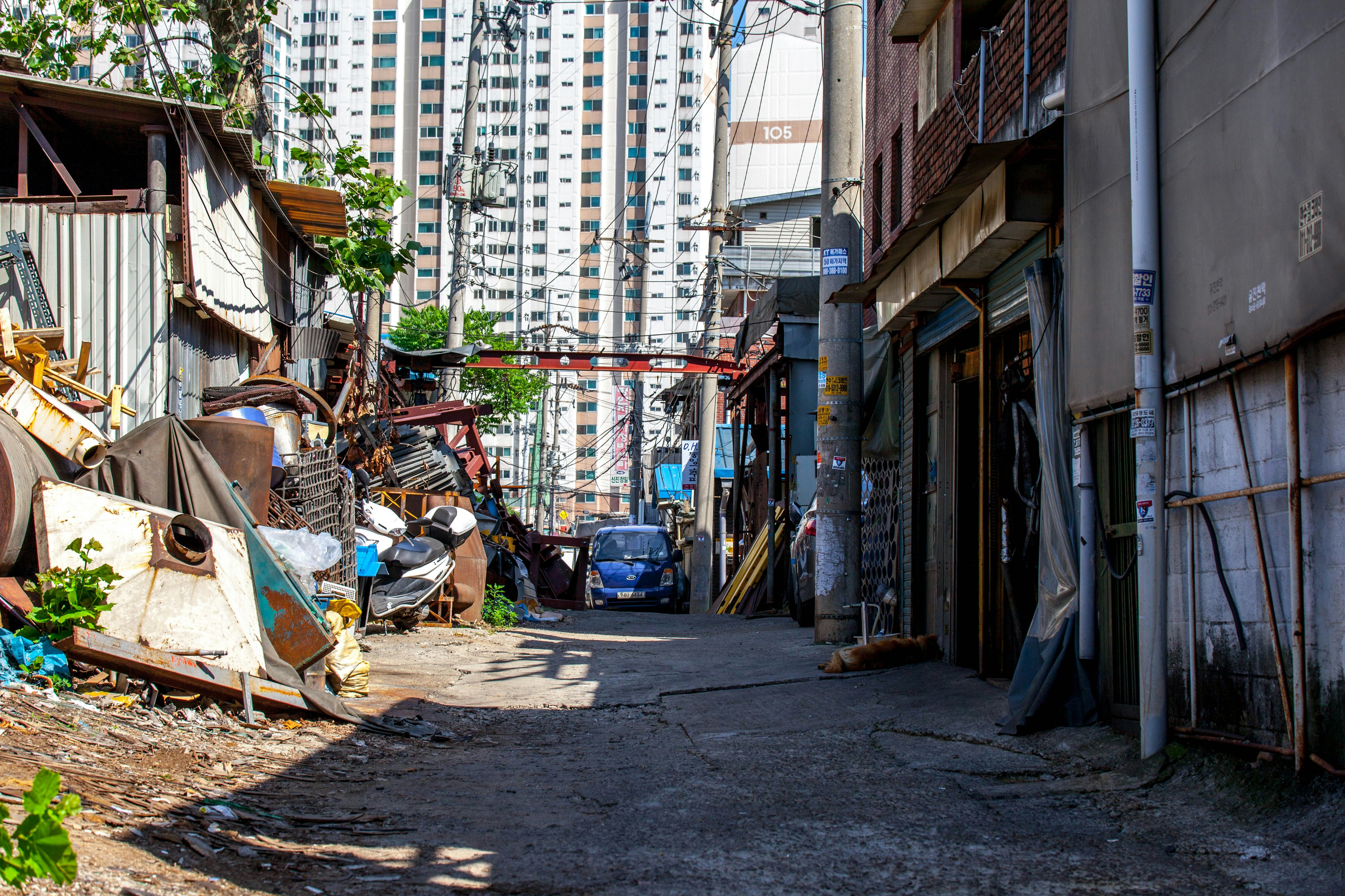 Photo by ivorycirrus