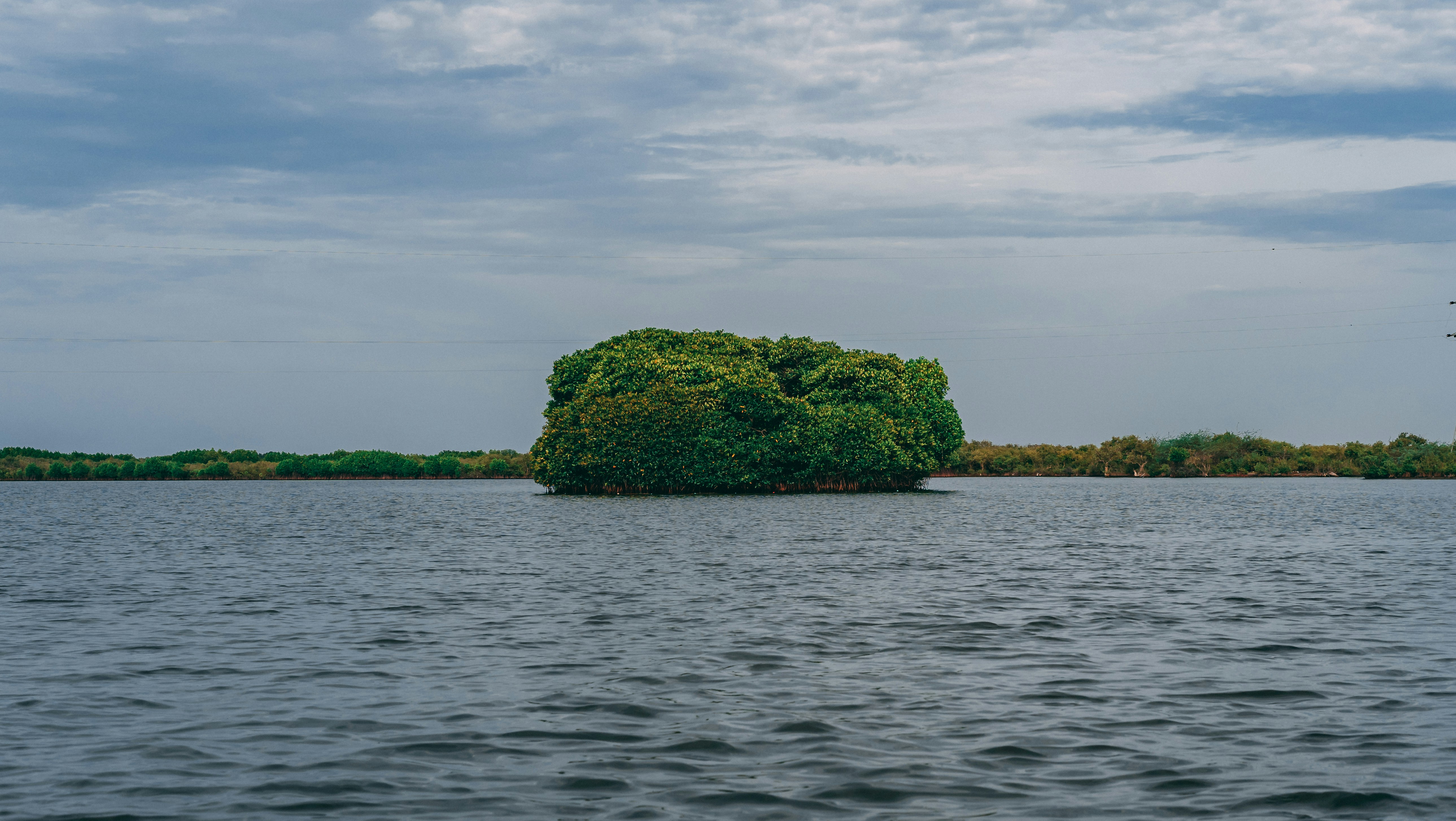 Photo by suicide_chewbacca