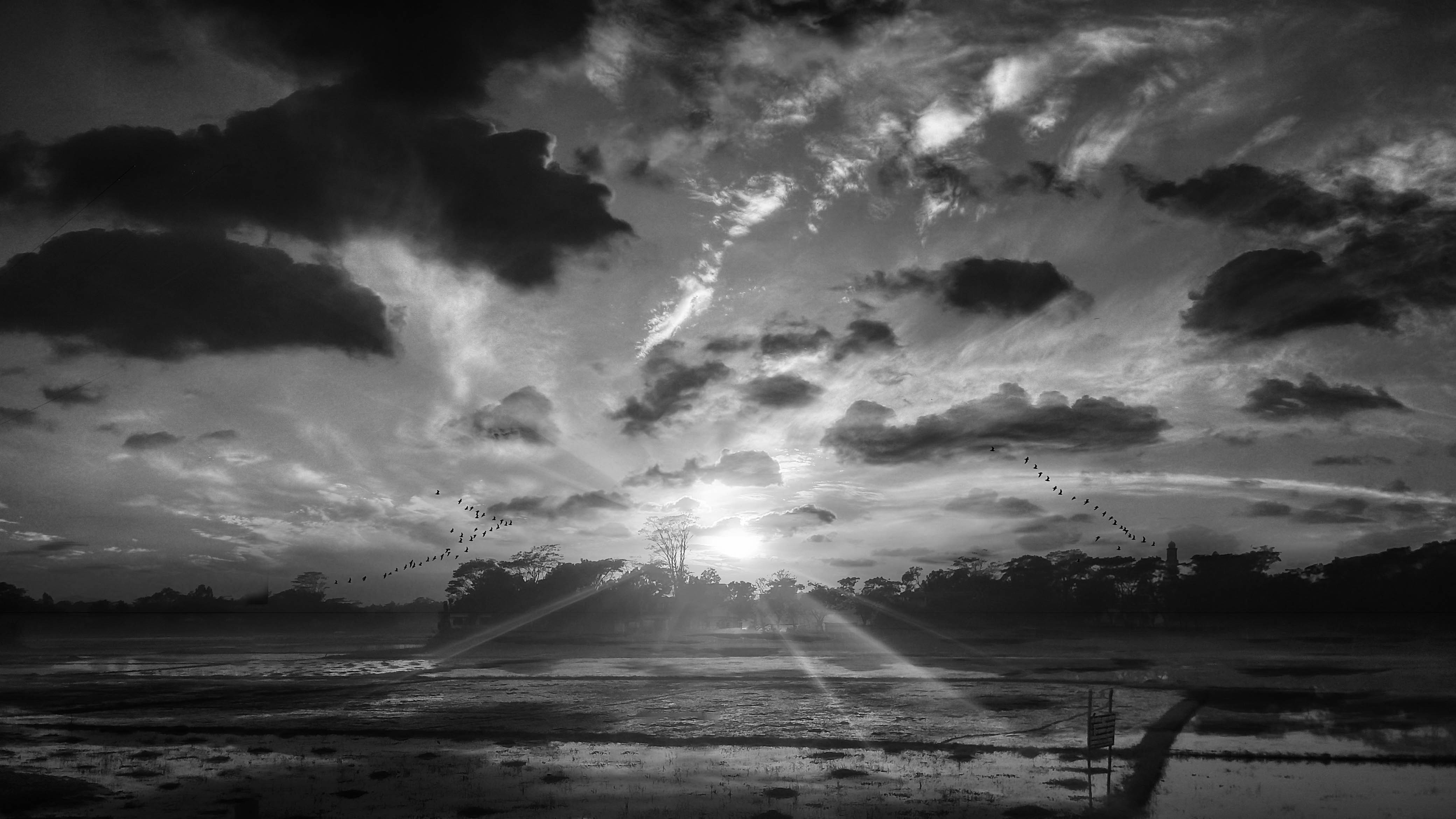 Photo by rajjibhassan