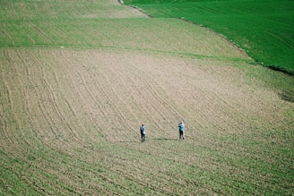 A friendly agricultural consultant speaking with a farmer in a grain field.