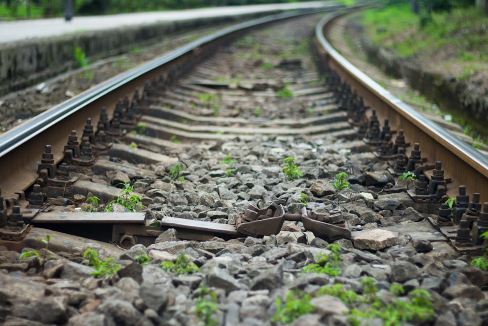 selective focus photo of gray and black train tracks