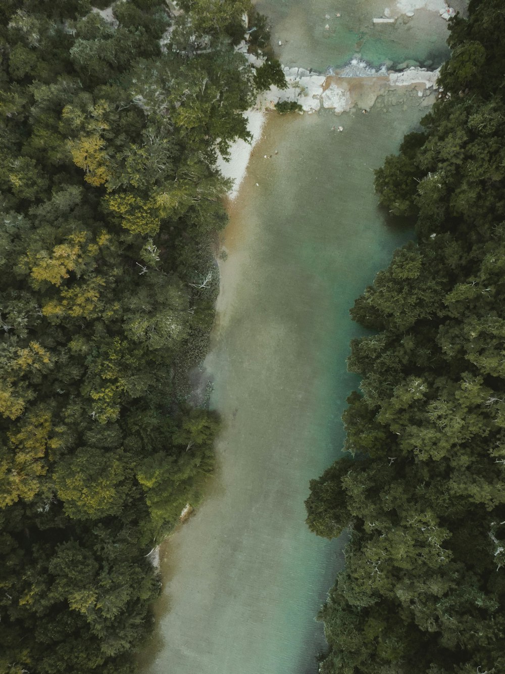 Blick aus der Vogelperspektive auf den Fluss zwischen Bäumen