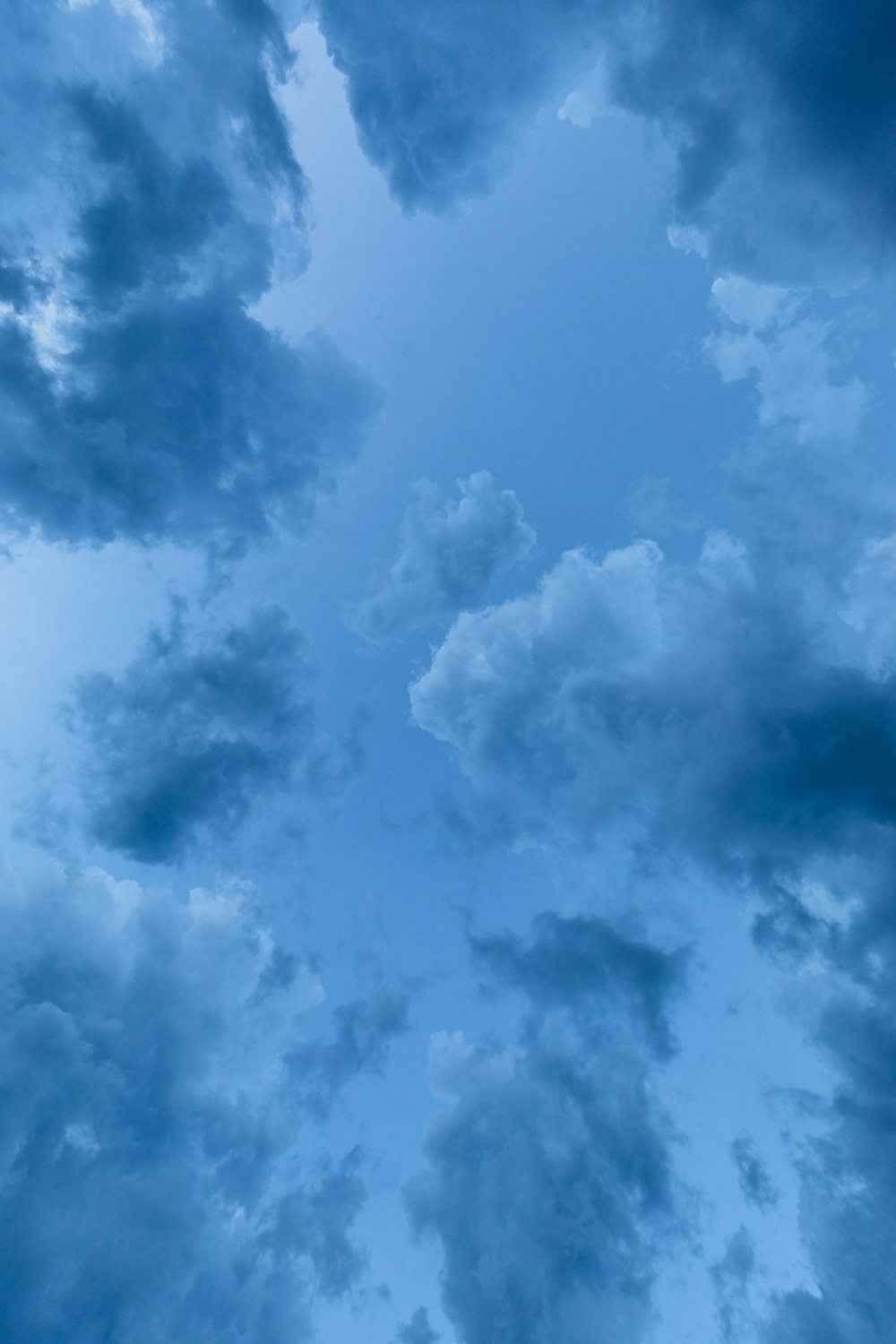 青い雲のローアングルビュー