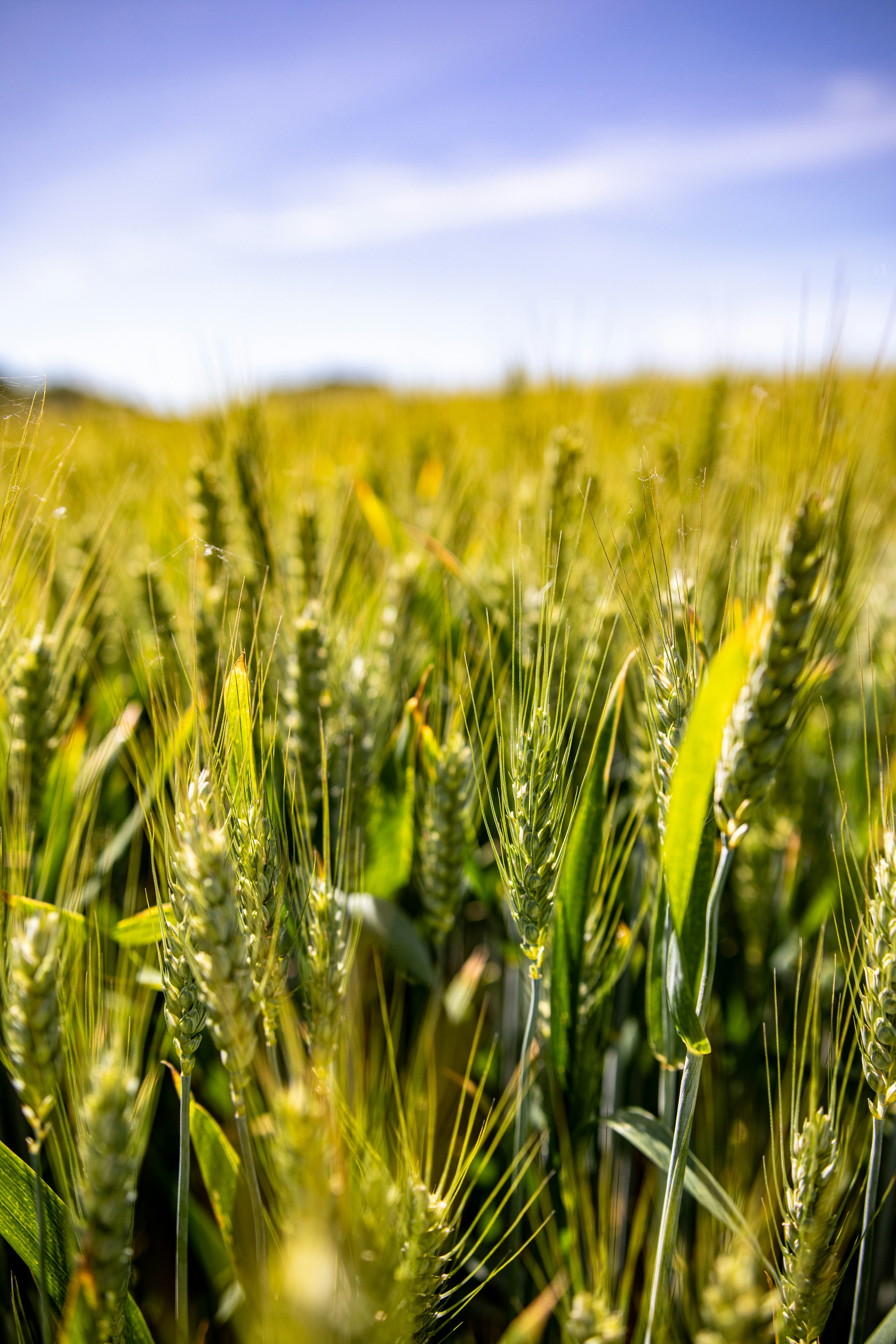 Photo by cycloneblue