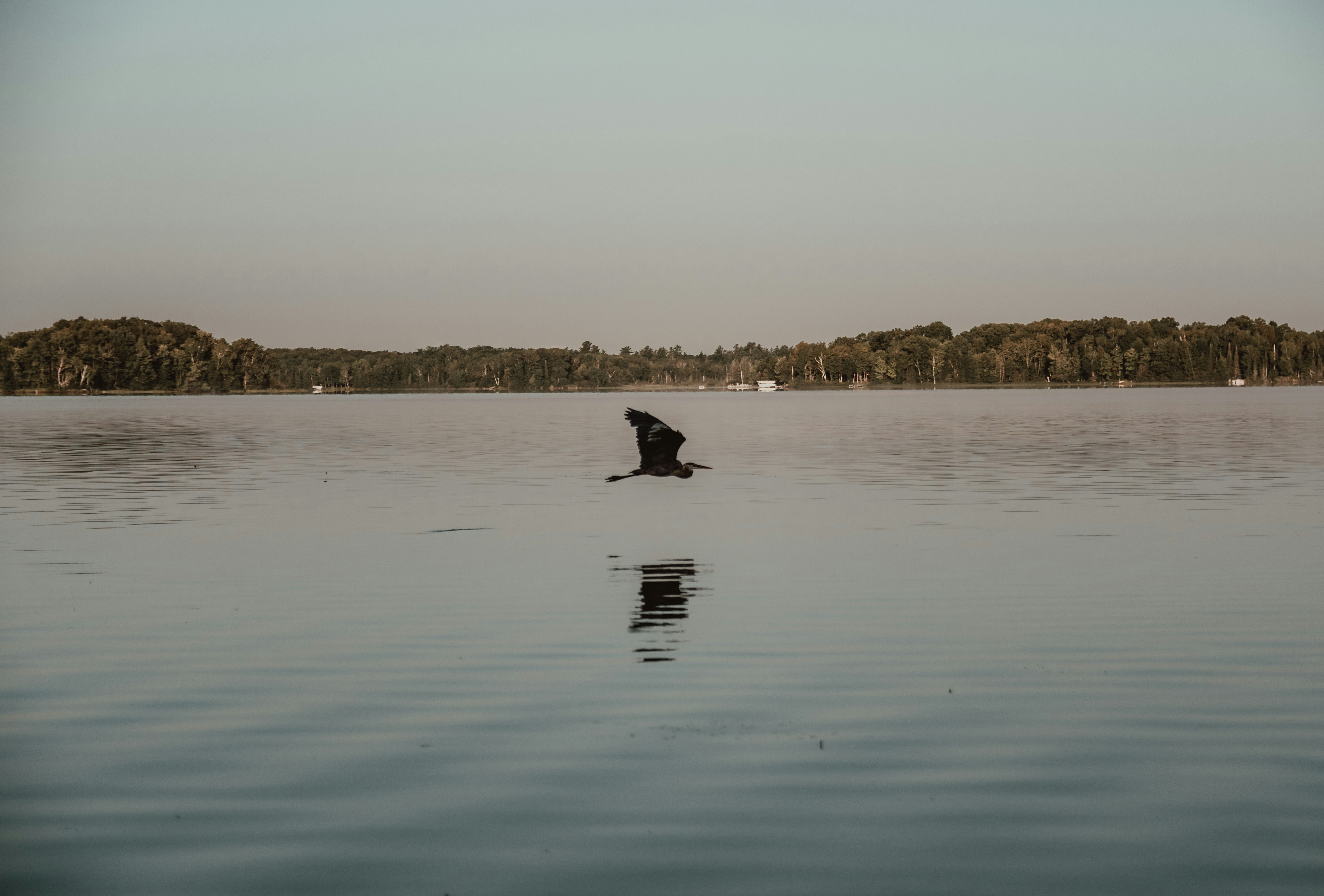 Photo by kellysikkema