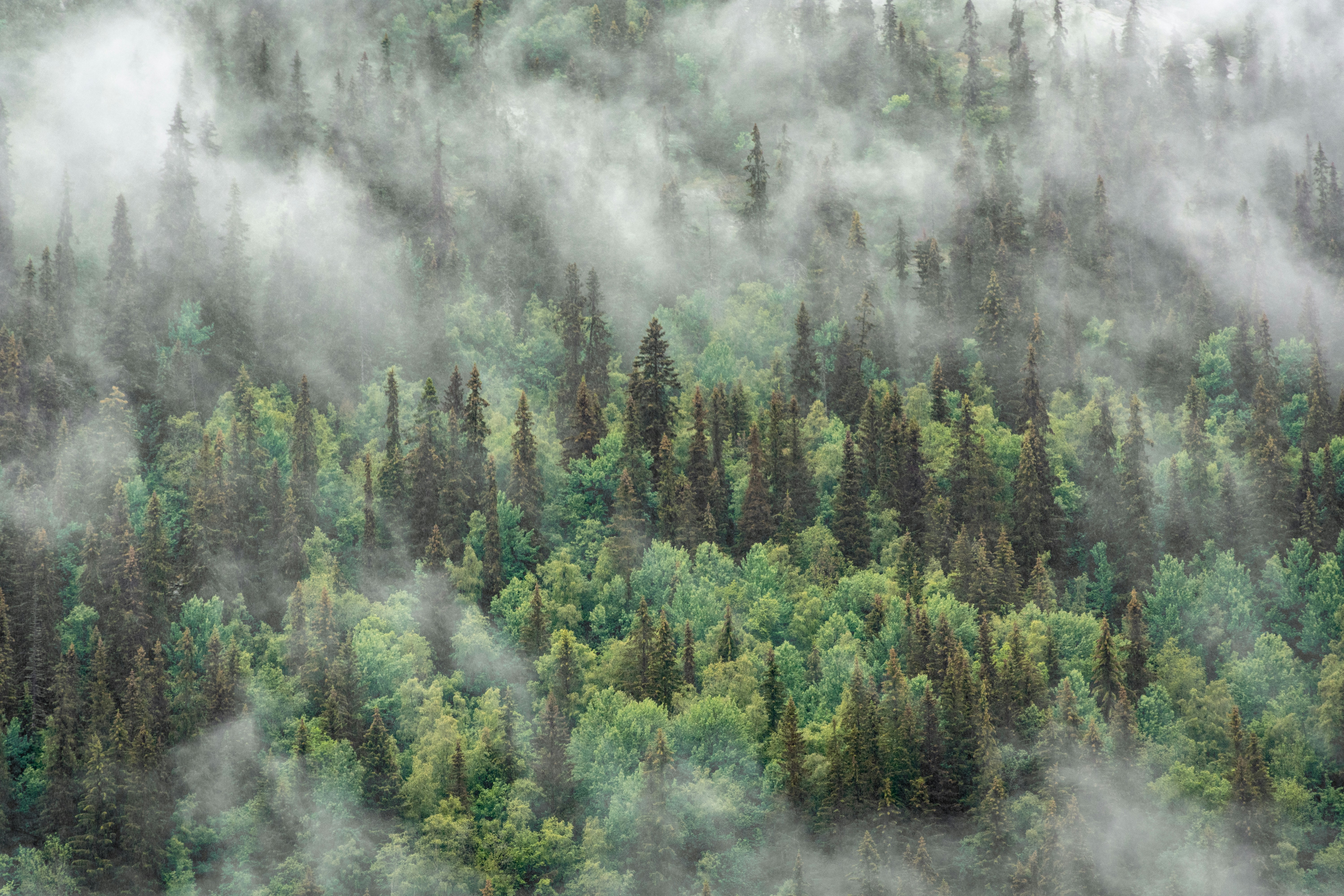 Photo by sebastiengoldberg