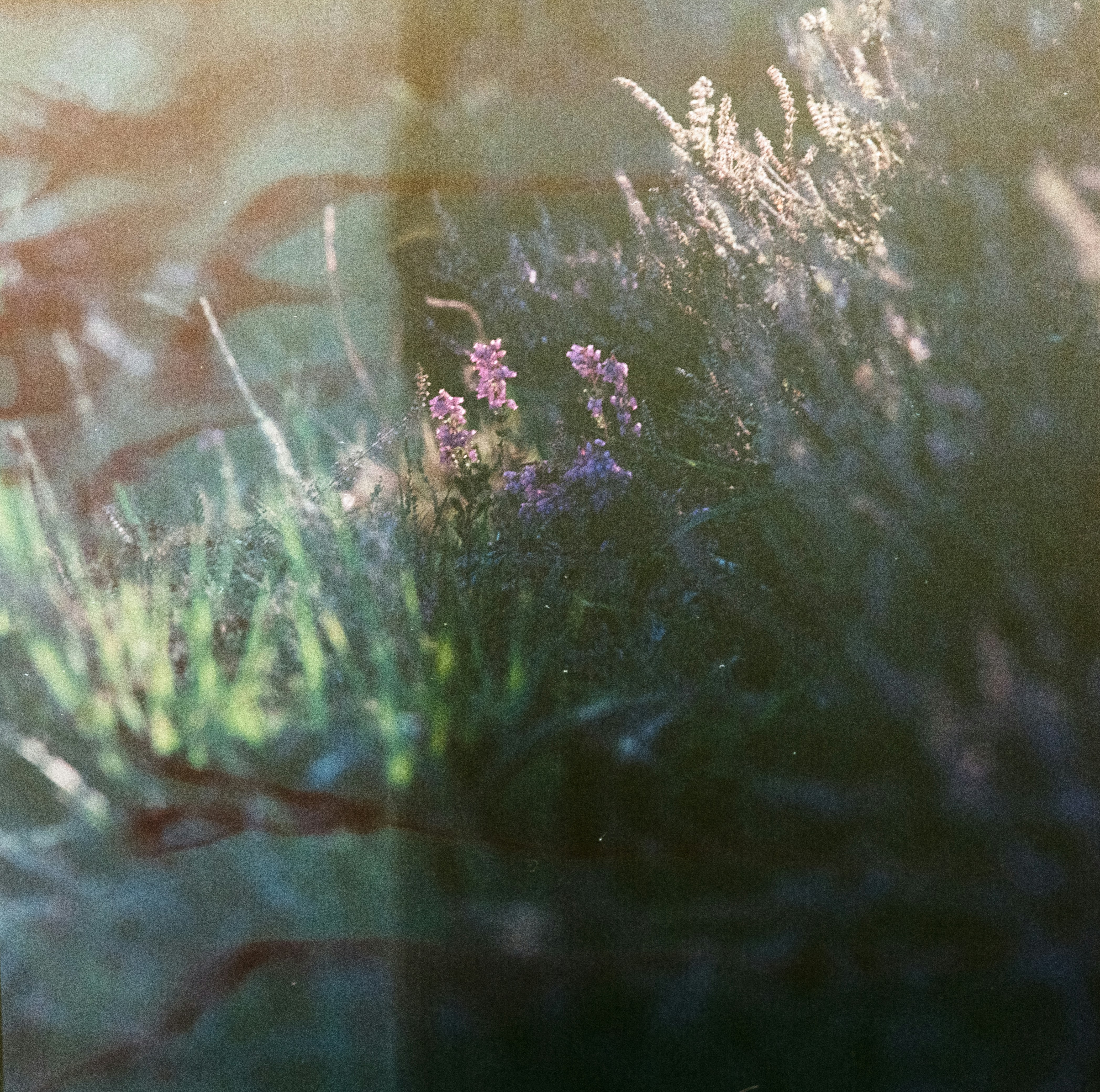 Photo by anniespratt