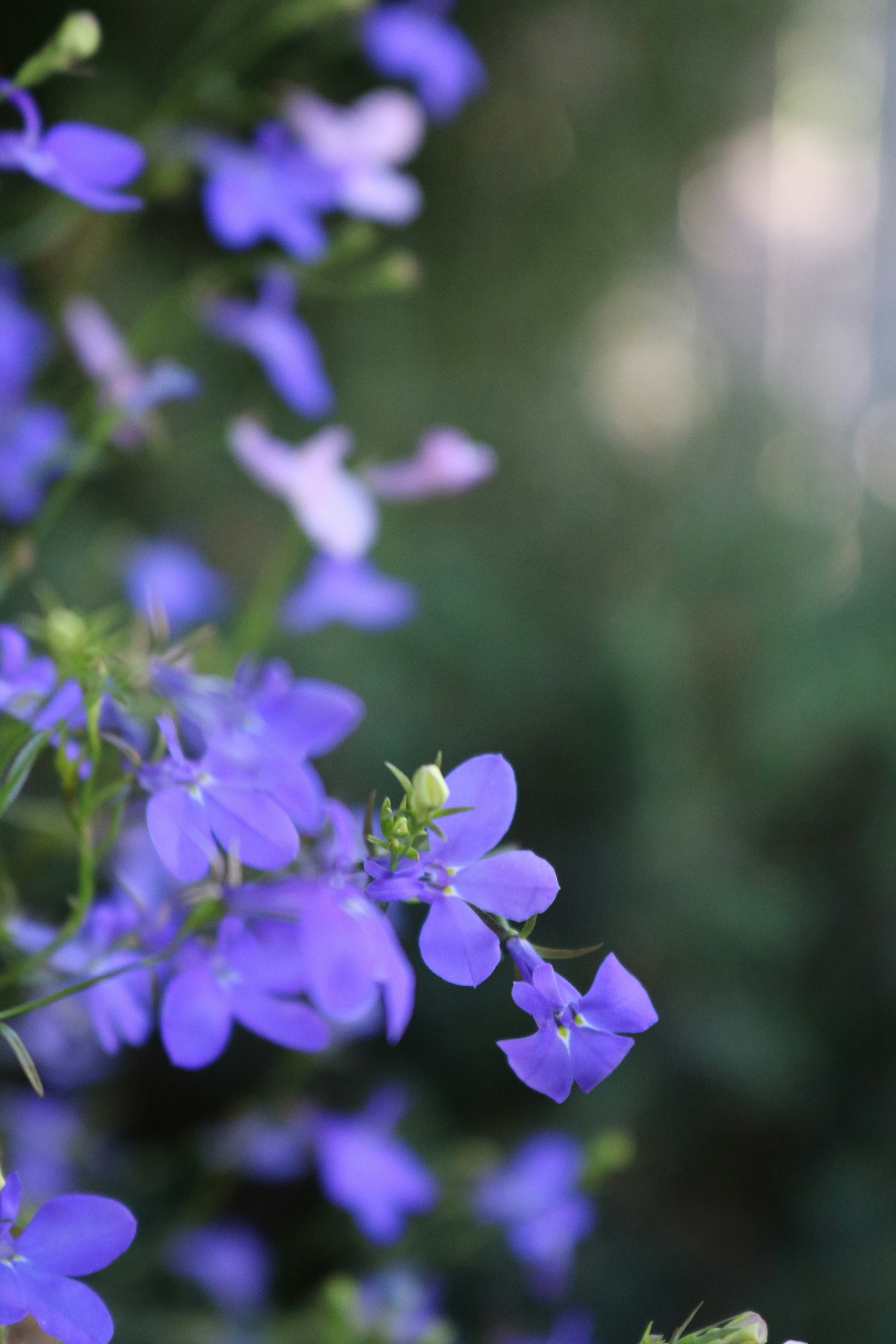 Photo by davidjboozer