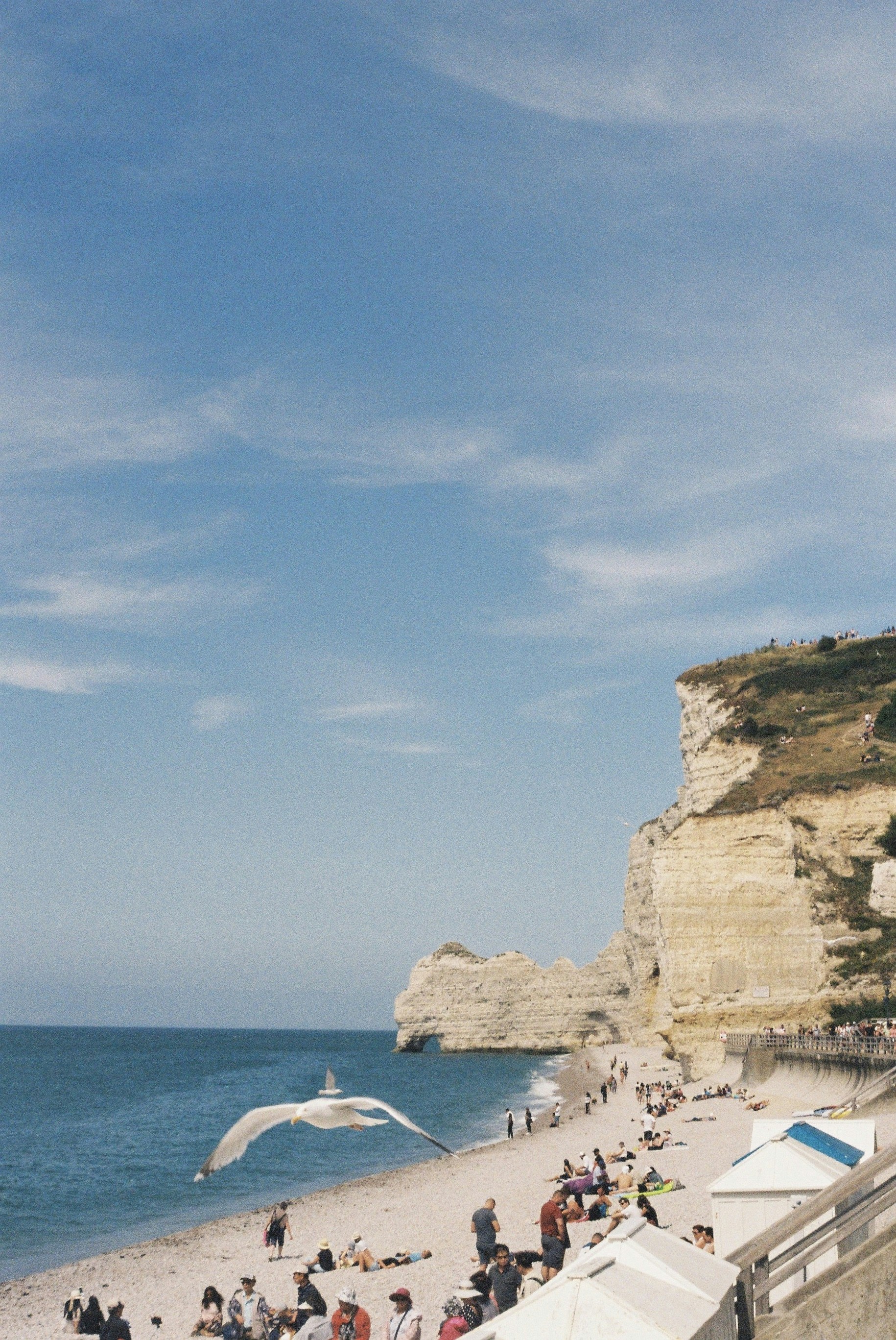 Photo by hariboisverygood