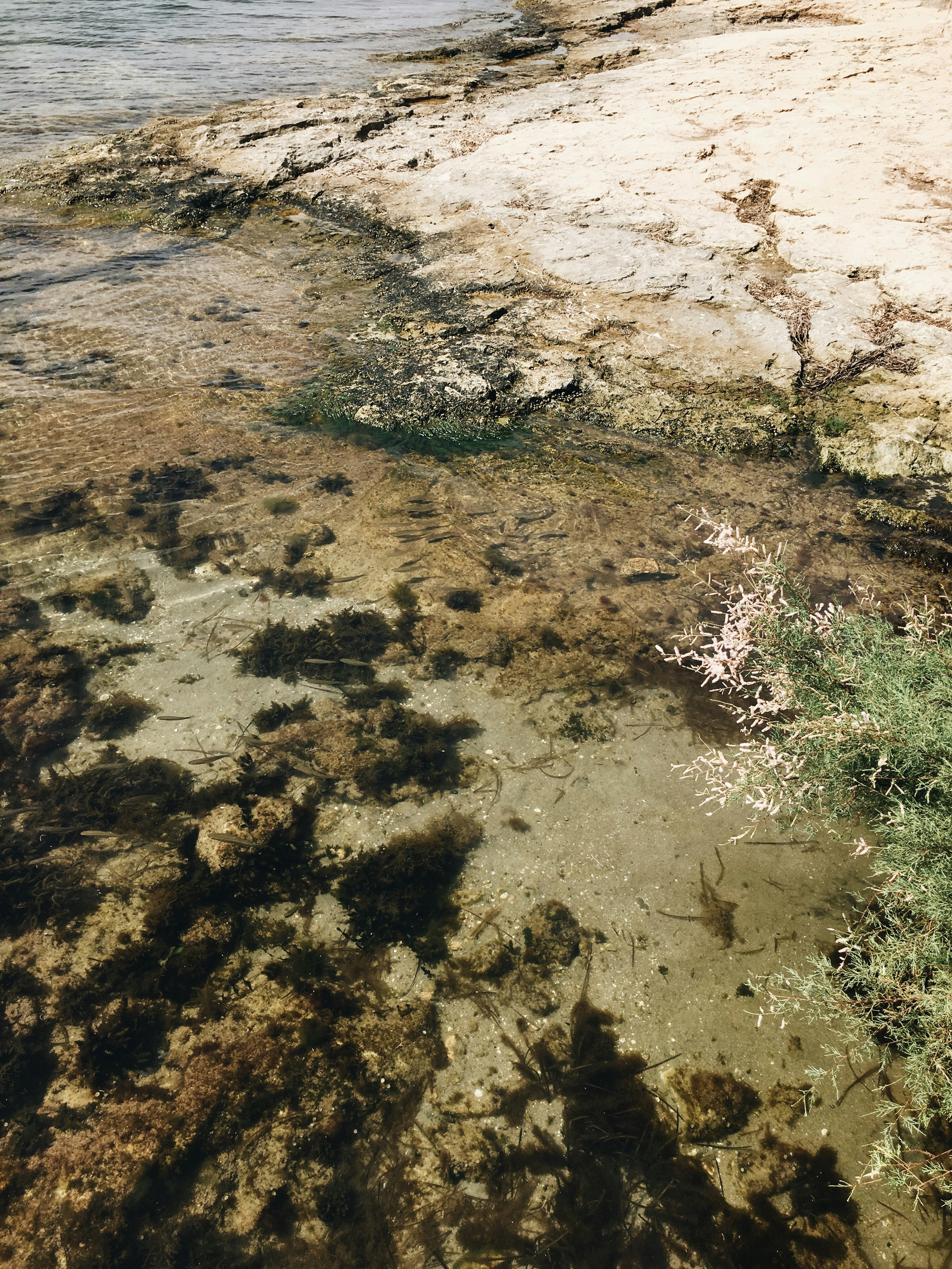 Photo by aanasanjuan