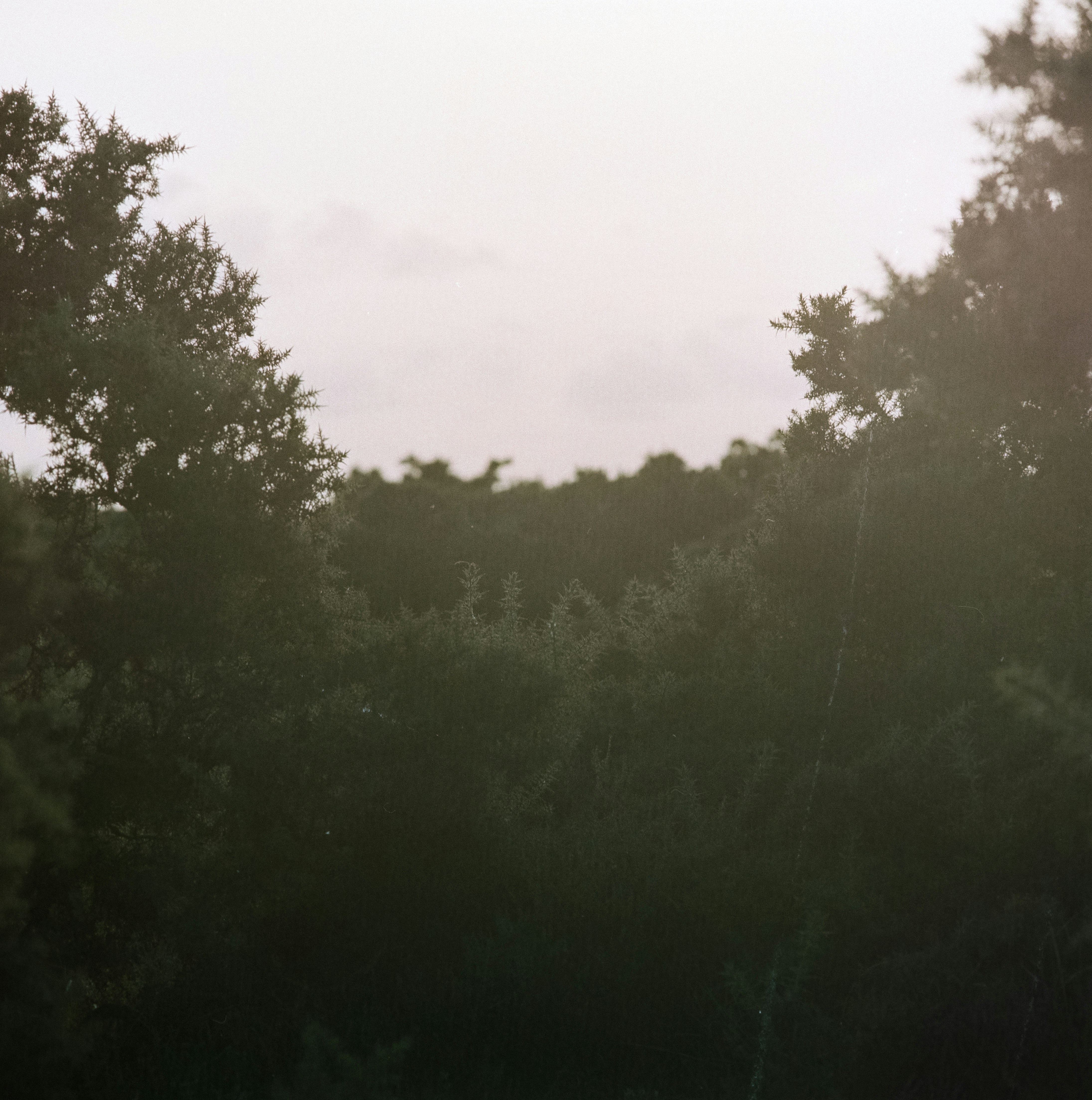 Photo by anniespratt