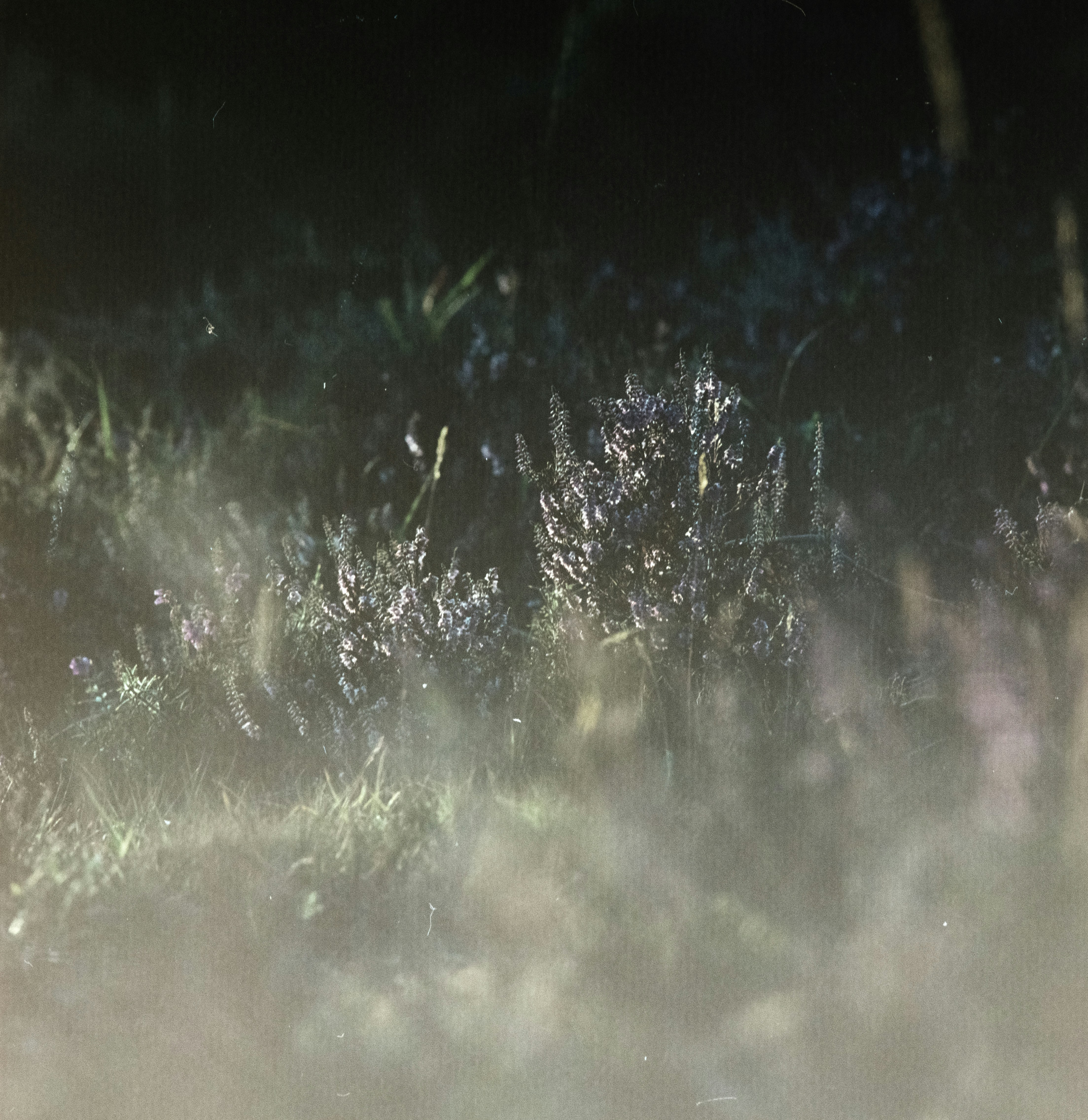 Photo by anniespratt