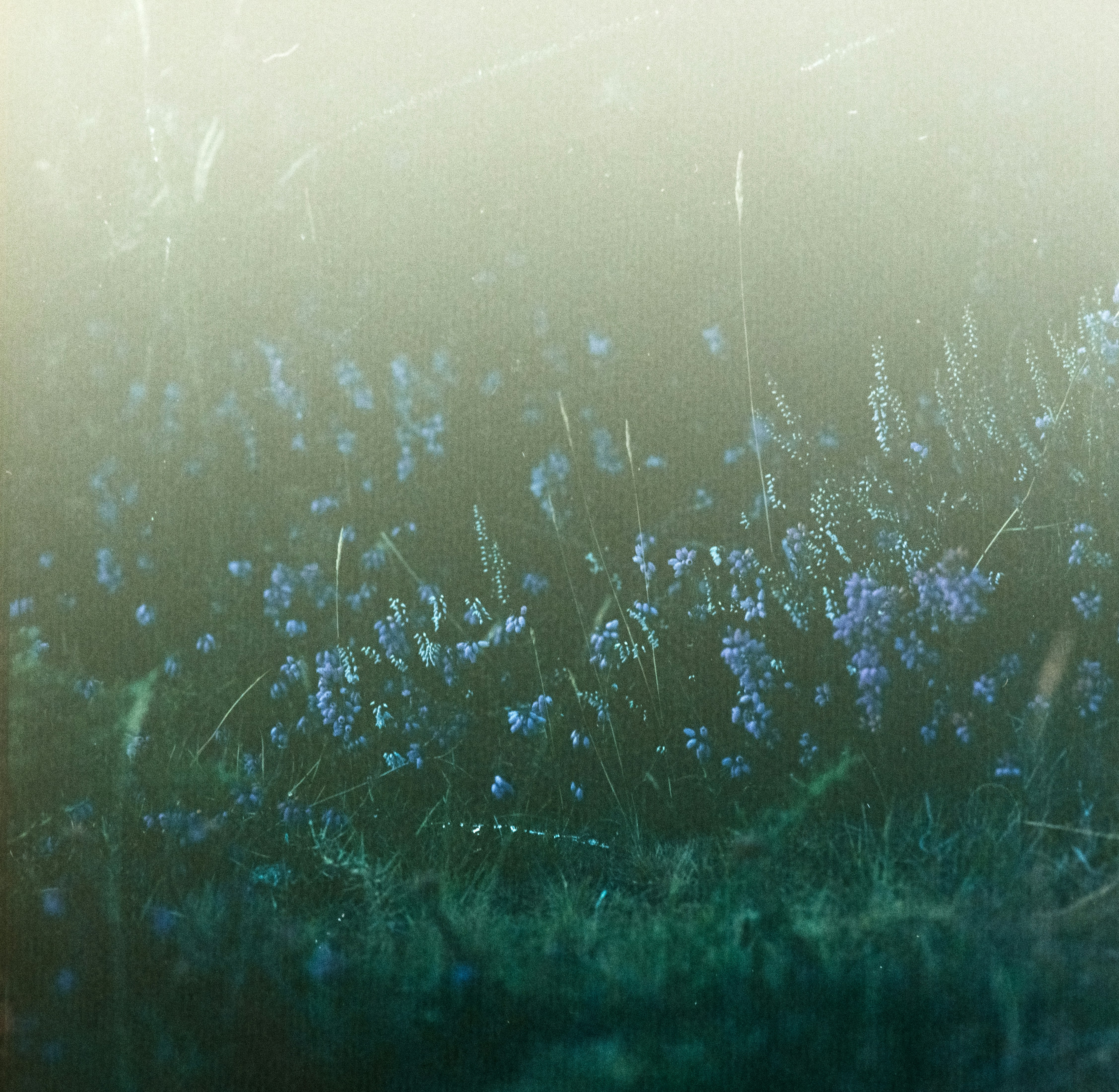 Photo by anniespratt