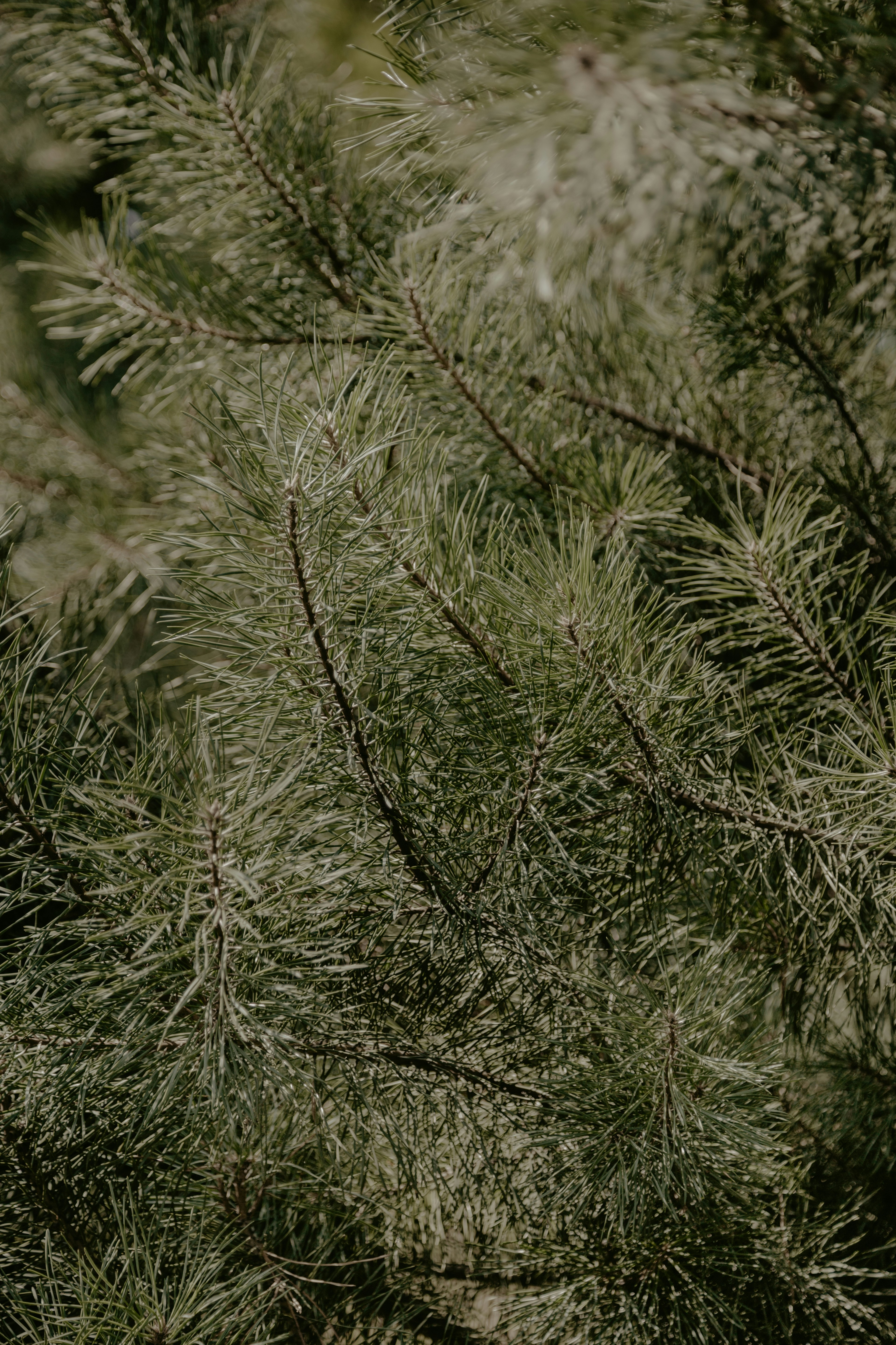 Photo by marjan_blan