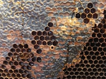 A close-up view of a honeycomb structure filled with dark amber honey. The hexagonal cells are neatly arranged, with some areas appearing slightly weathered or irregular. The honey has a glossy appearance, and a few cells have honey spilling out.