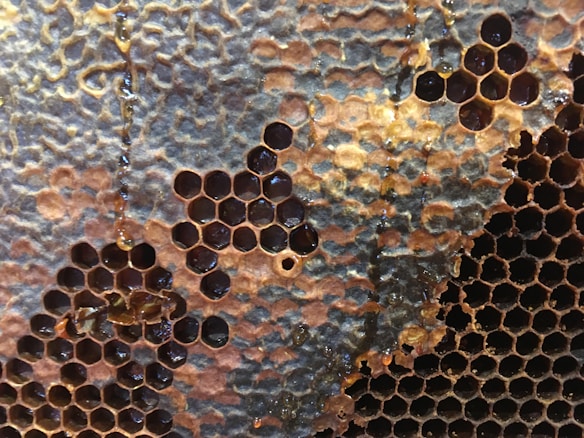 A close-up view of a honeycomb structure filled with dark amber honey. The hexagonal cells are neatly arranged, with some areas appearing slightly weathered or irregular. The honey has a glossy appearance, and a few cells have honey spilling out.