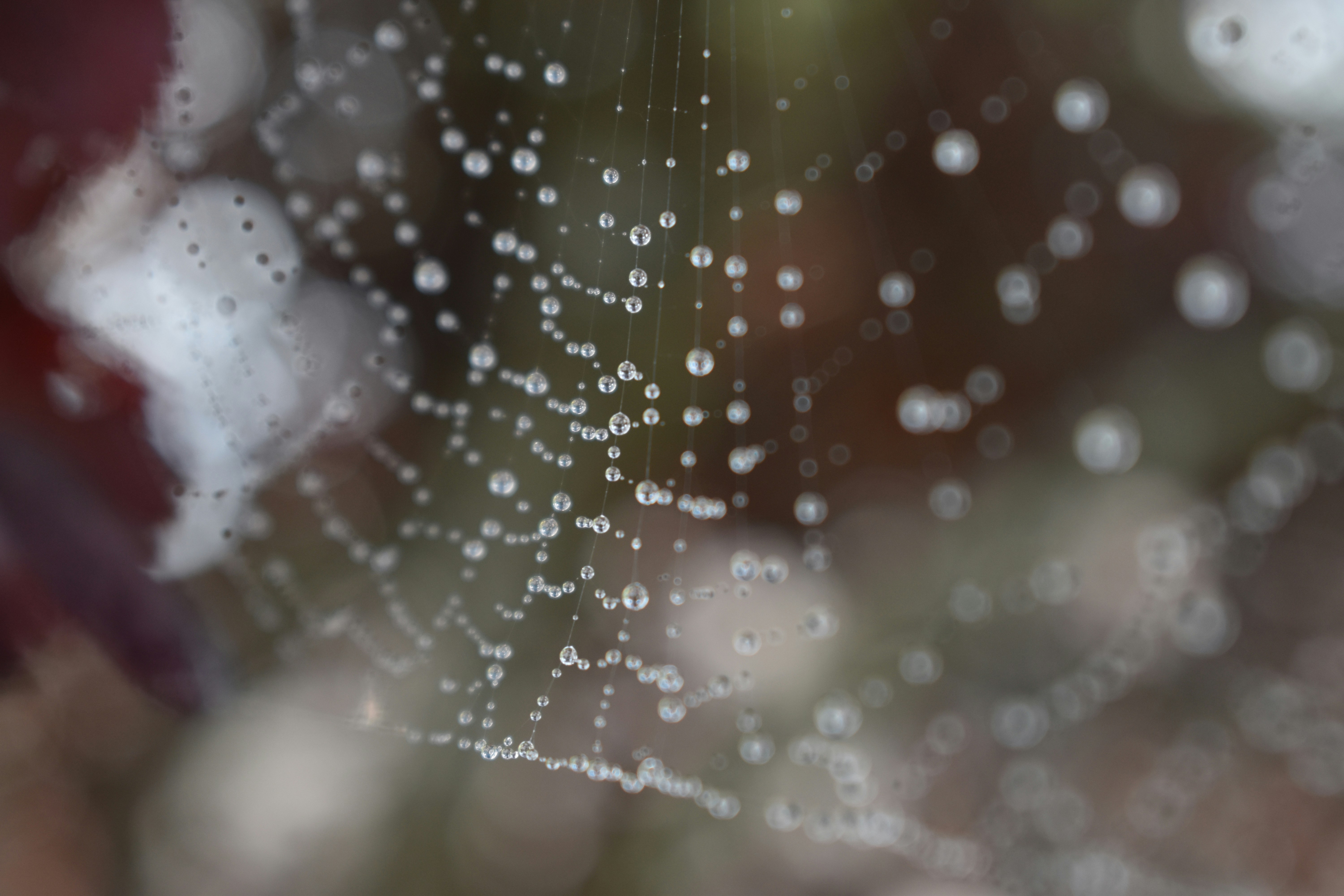 Photo by pictures102