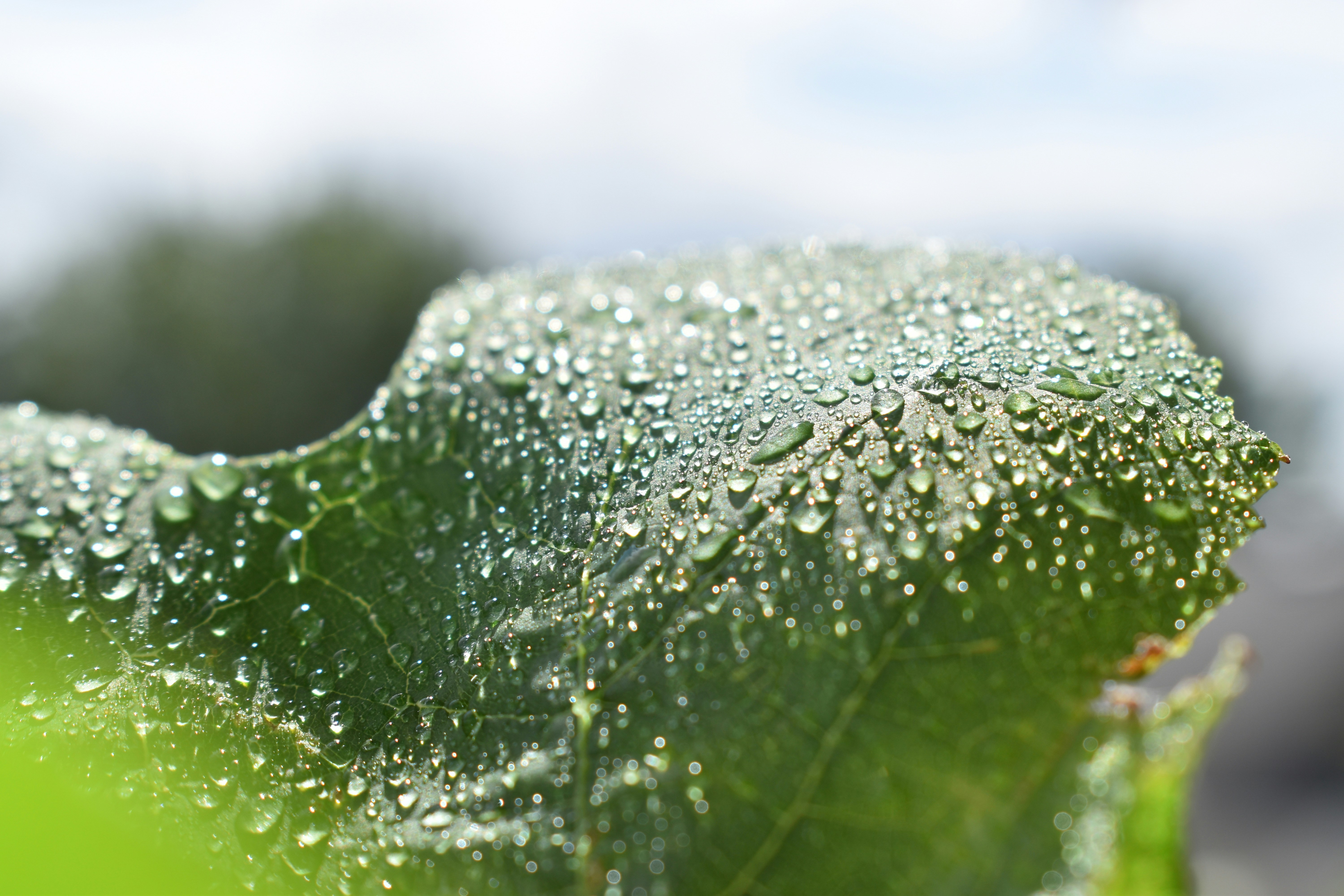 Photo by pictures102