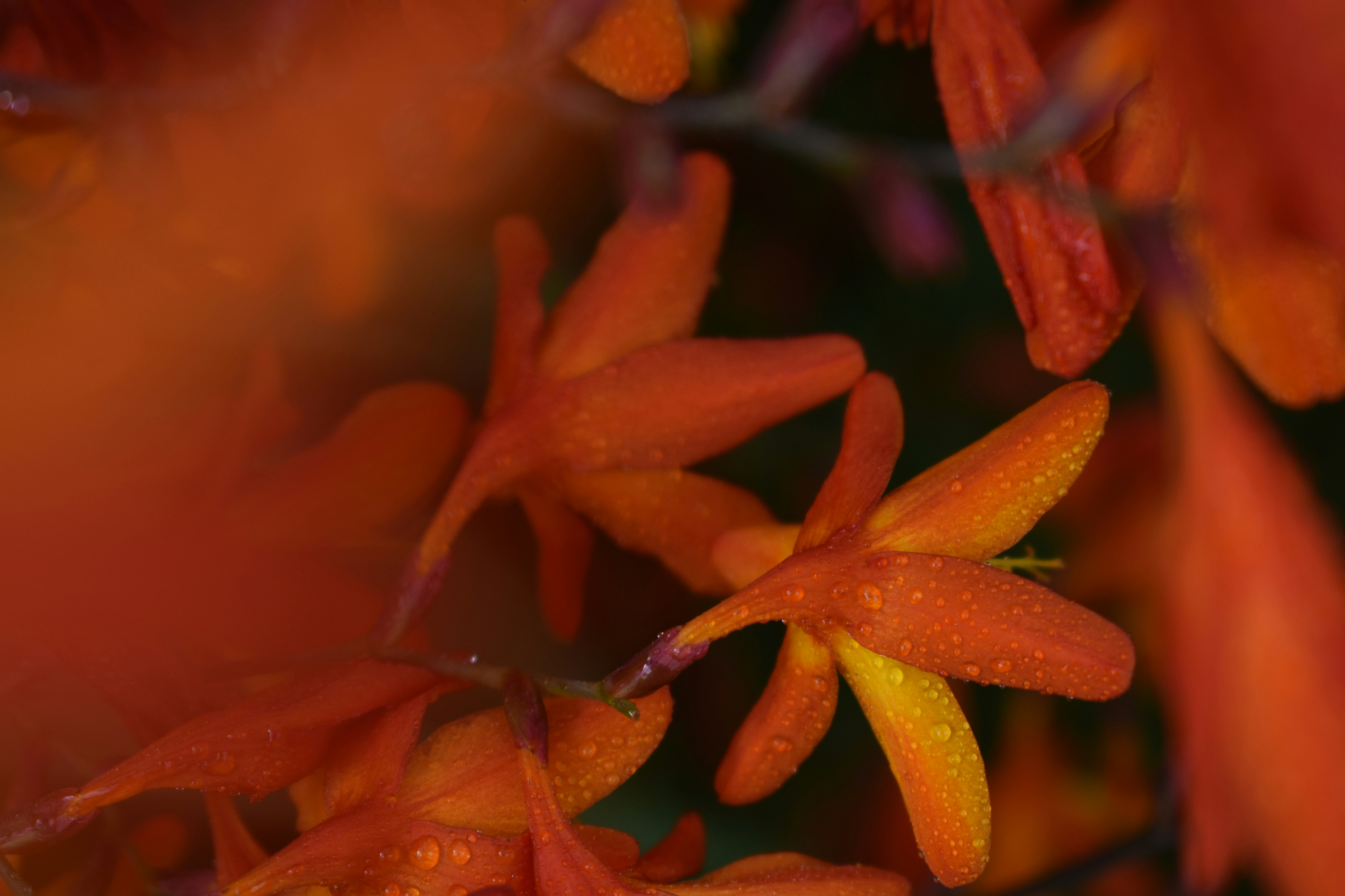 Photo by pictures102