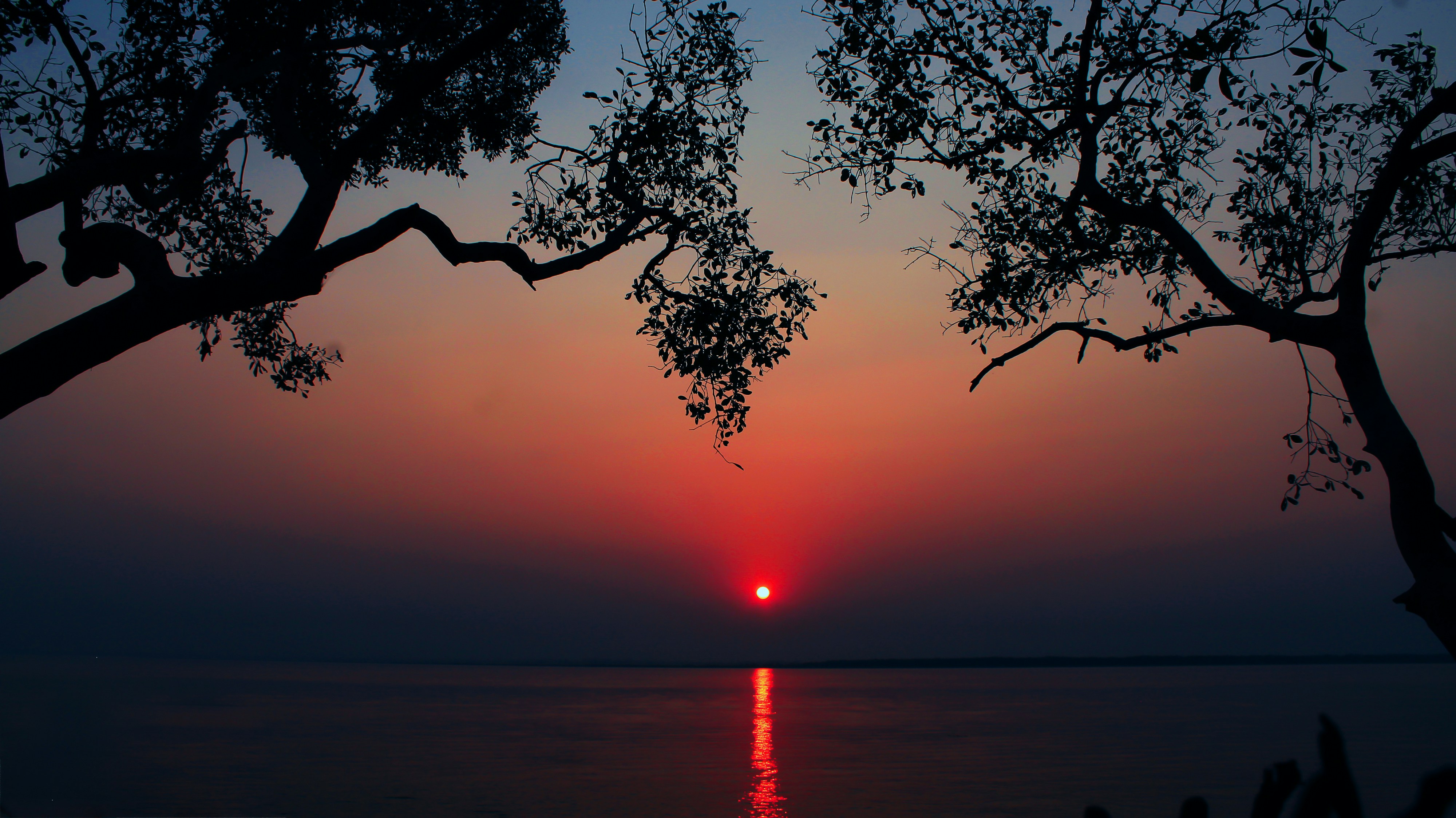 Photo by 9126369441am