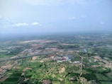 aerial photo of houses