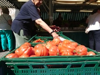 Close-up of a vendor selecting ripe tomatoes at a local market stall.