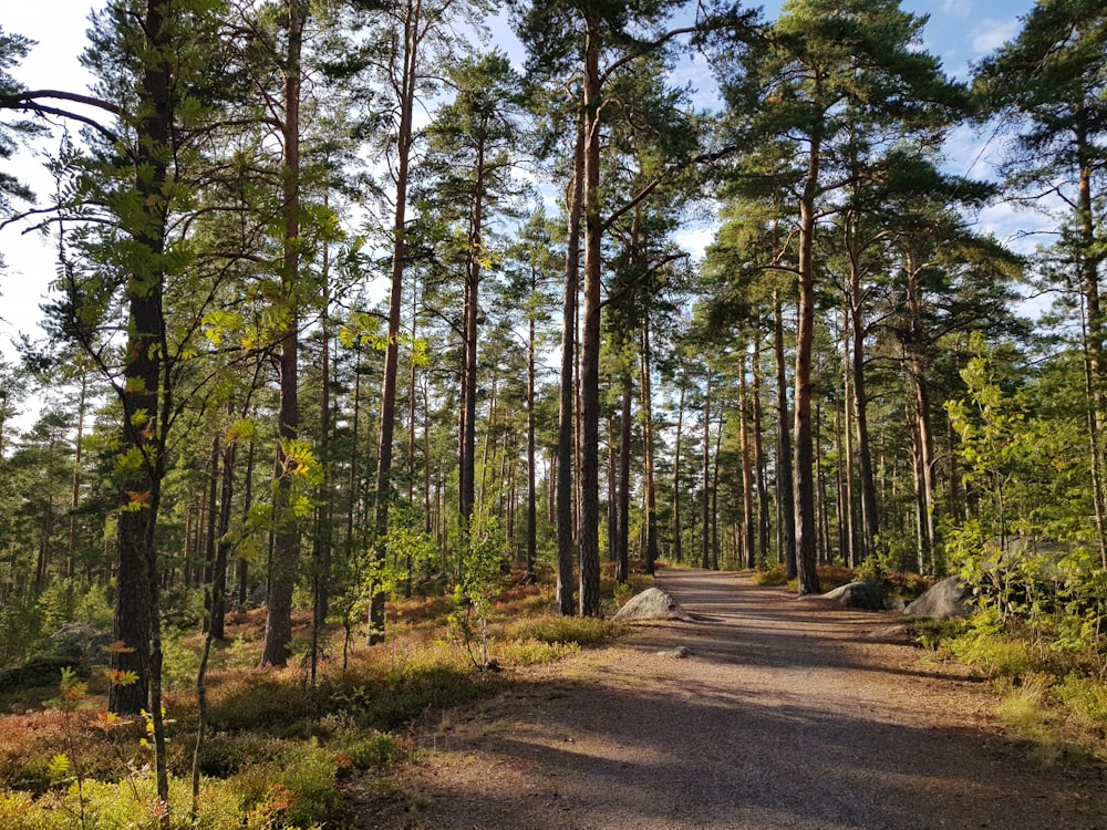 green trees