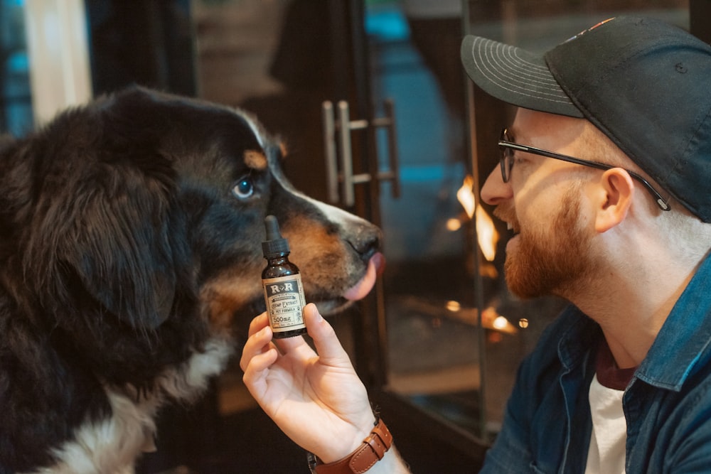 cbd oil for man in front of long-coated black and brown dog