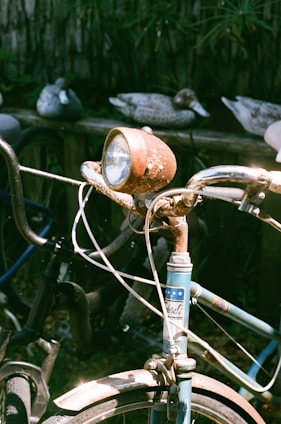 A vintage bicycle with a rusty headlamp and worn-out handlebar grips is parked in front of a wooden fence. Several ceramic duck statues are arranged on the fence in the background. The bike's frame is blue, and the sunlight highlights the rust and wear on its surface.