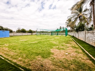 A freshly installed cricket net at a local Chennai sports ground.