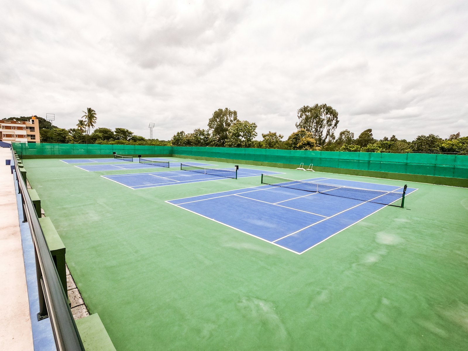 A bright padel court enclosed by glass walls