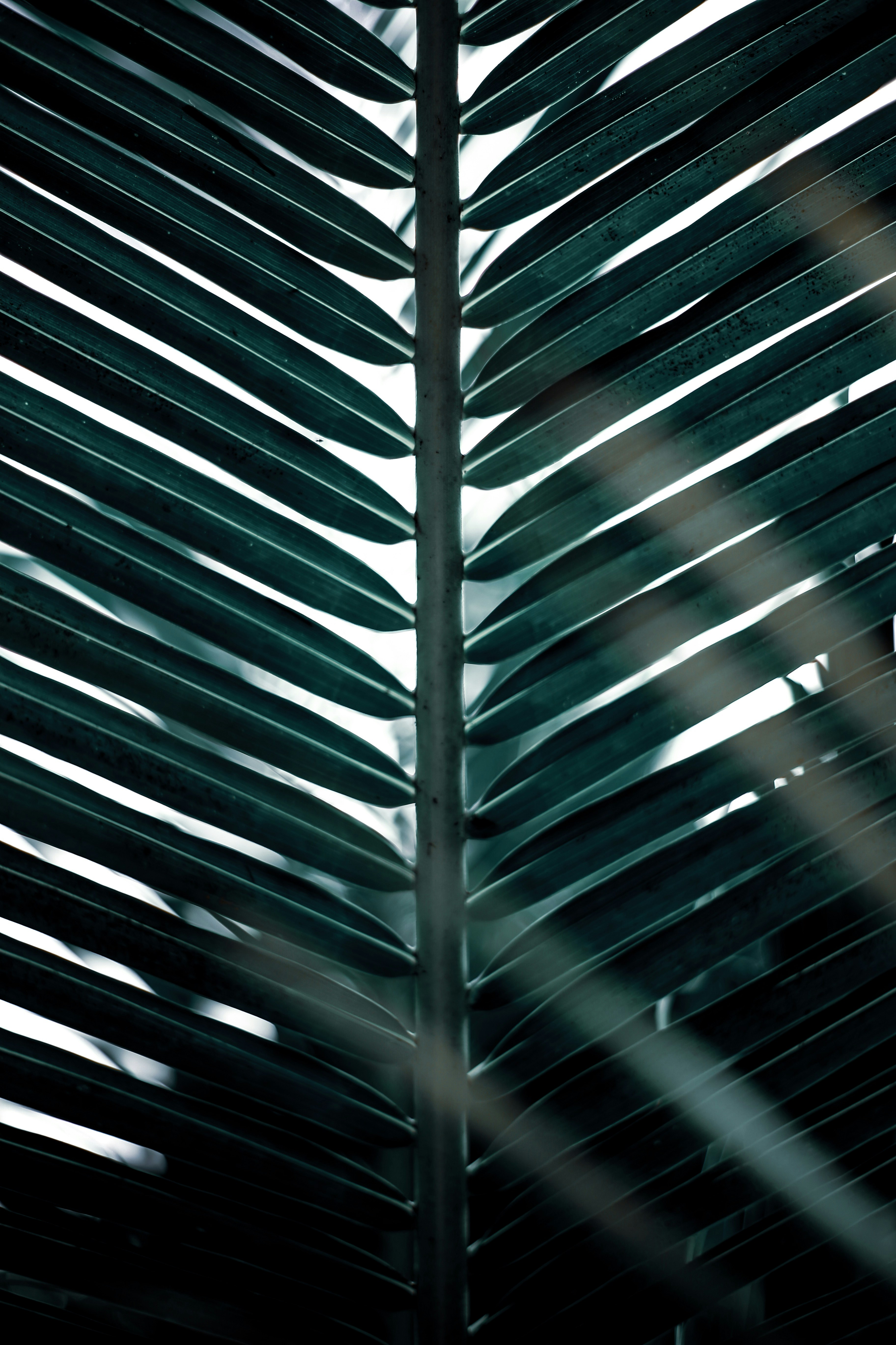 Photo by anmadezzzzz