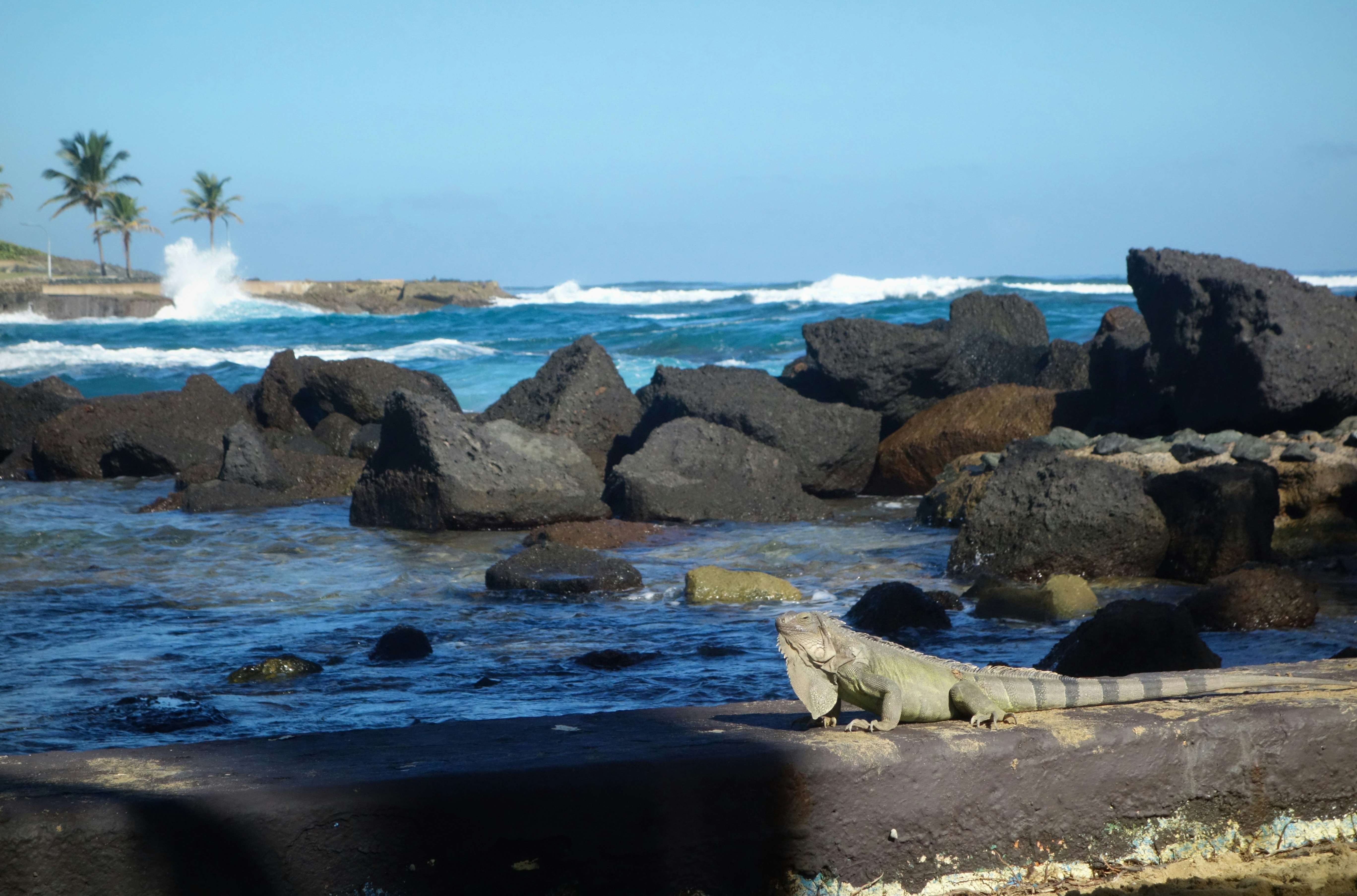 Photo by dq_silviaaa