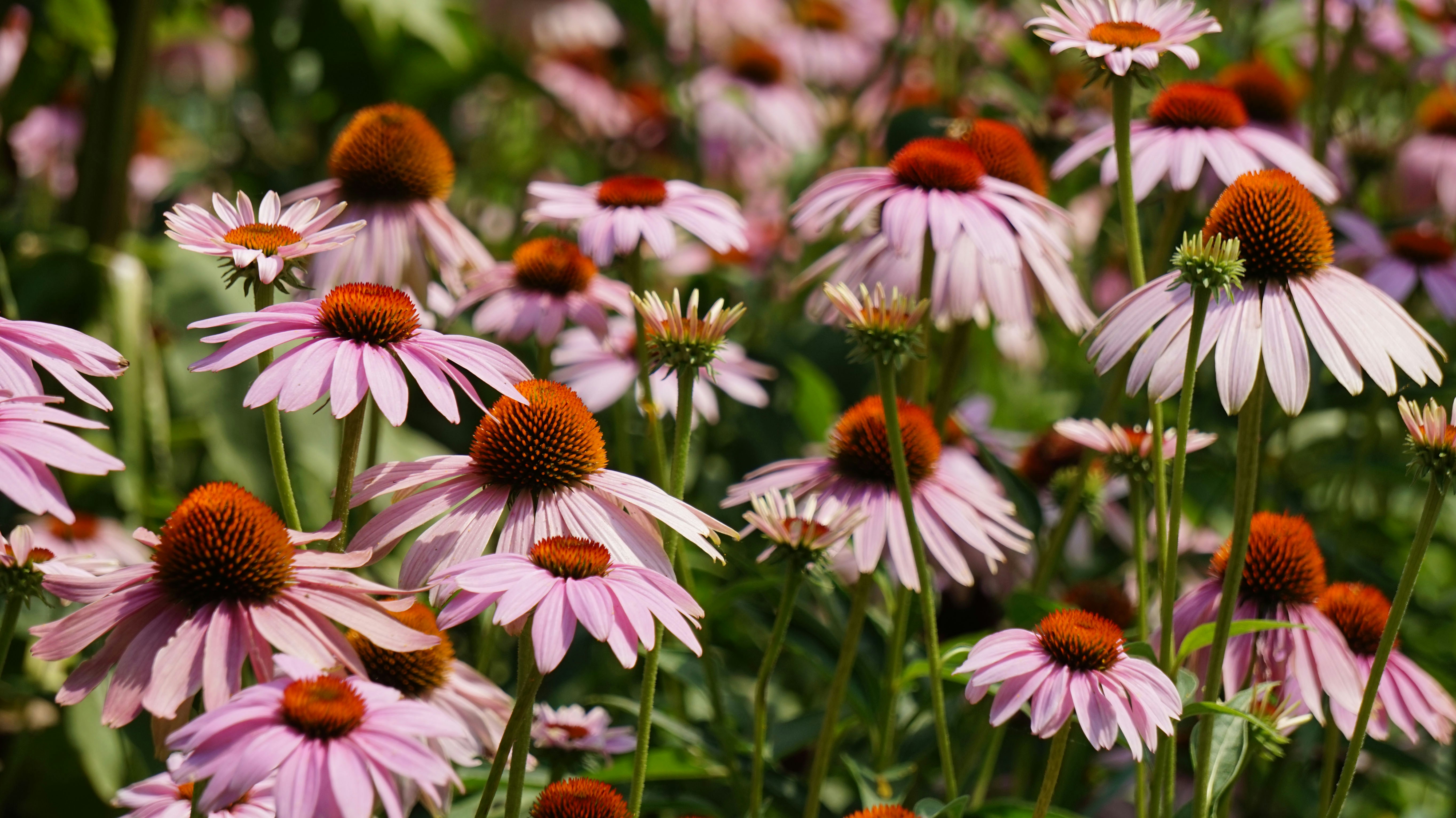 Photo by photosbylaron