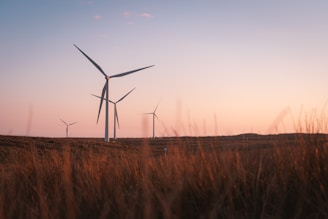 Green landscape with small wind turbines blending into nature at sunset.