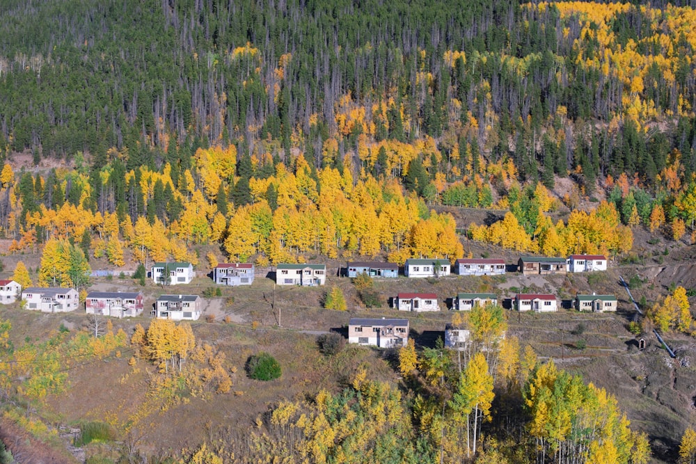 aerial photography of buildings