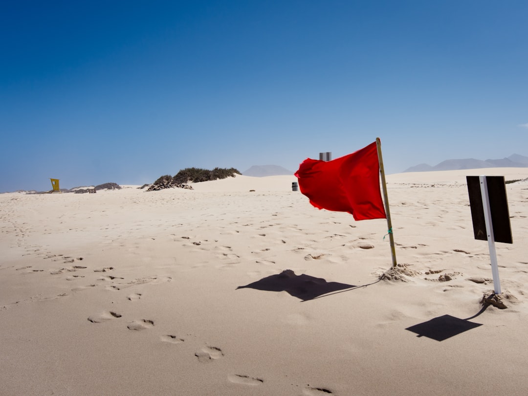 red flag on beach