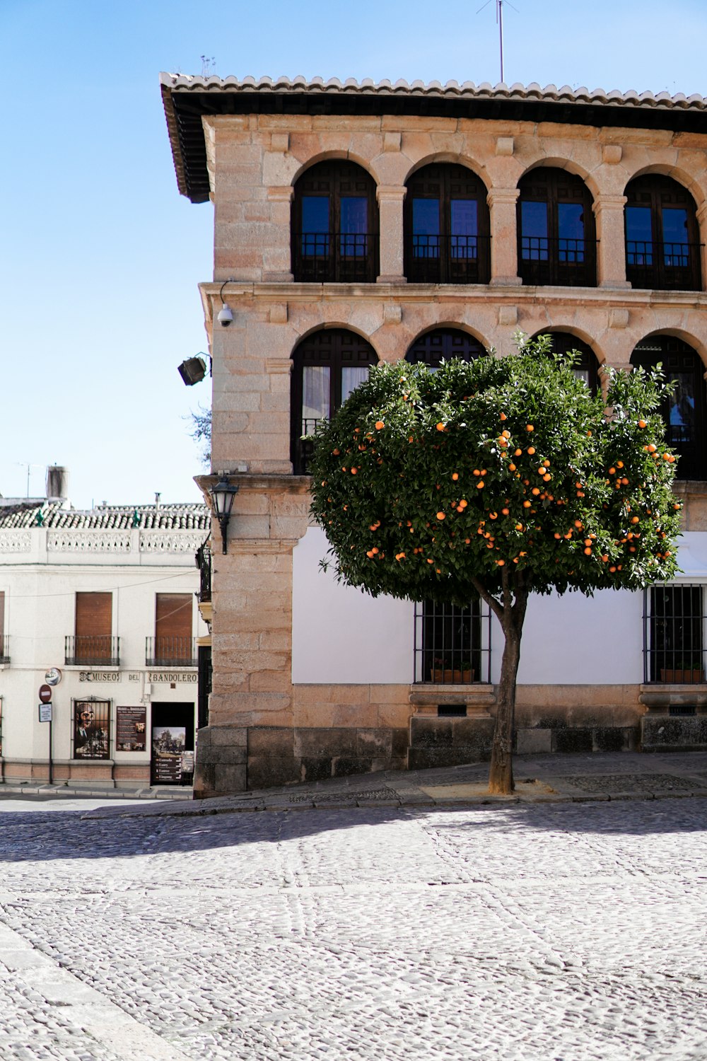 an orange tree in front of a building