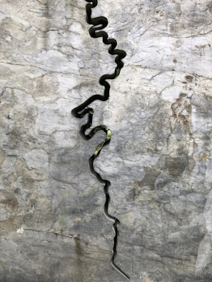 Waterjet-cut stone slab with precise, artistic interior elements.