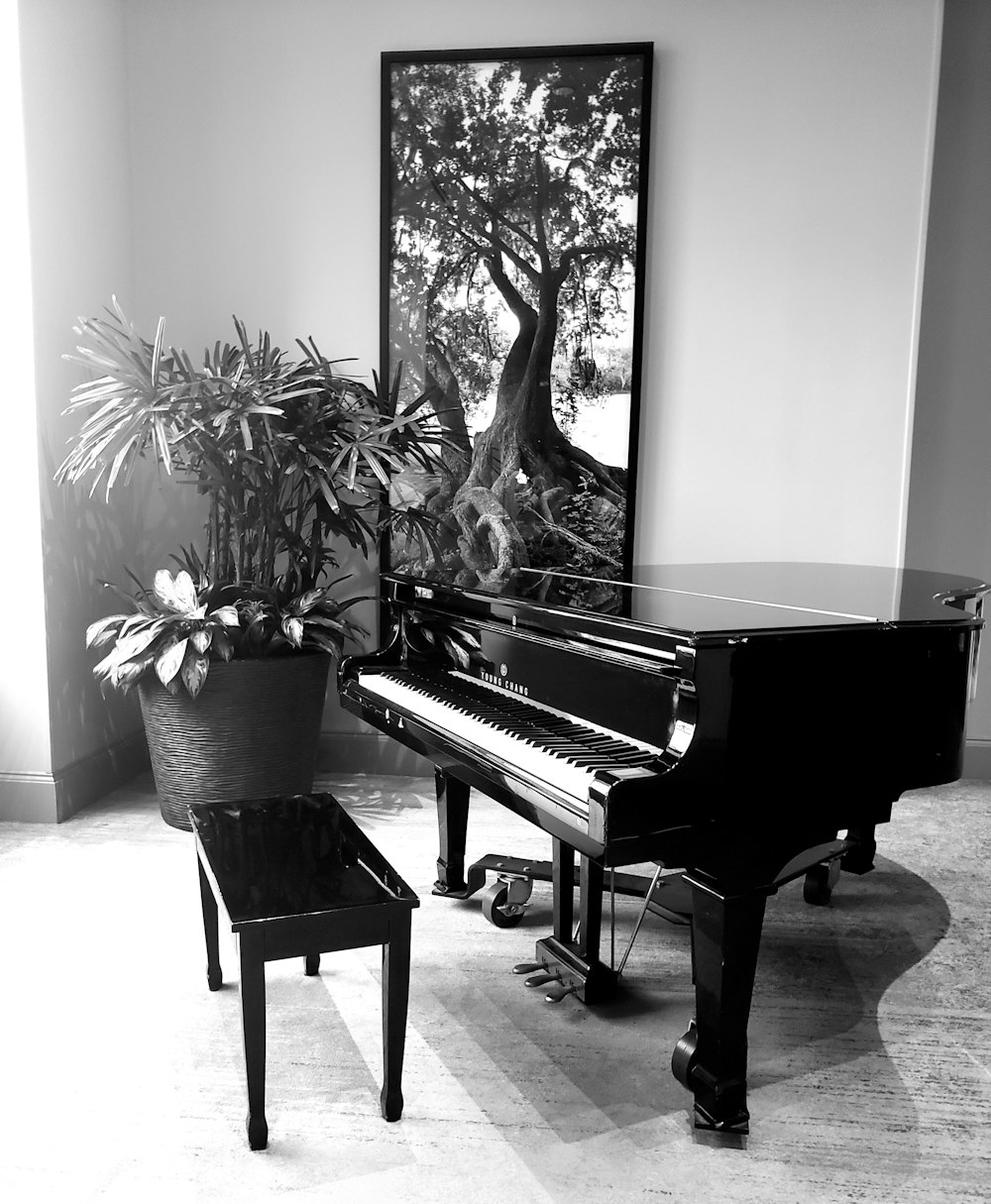 brown grand piano