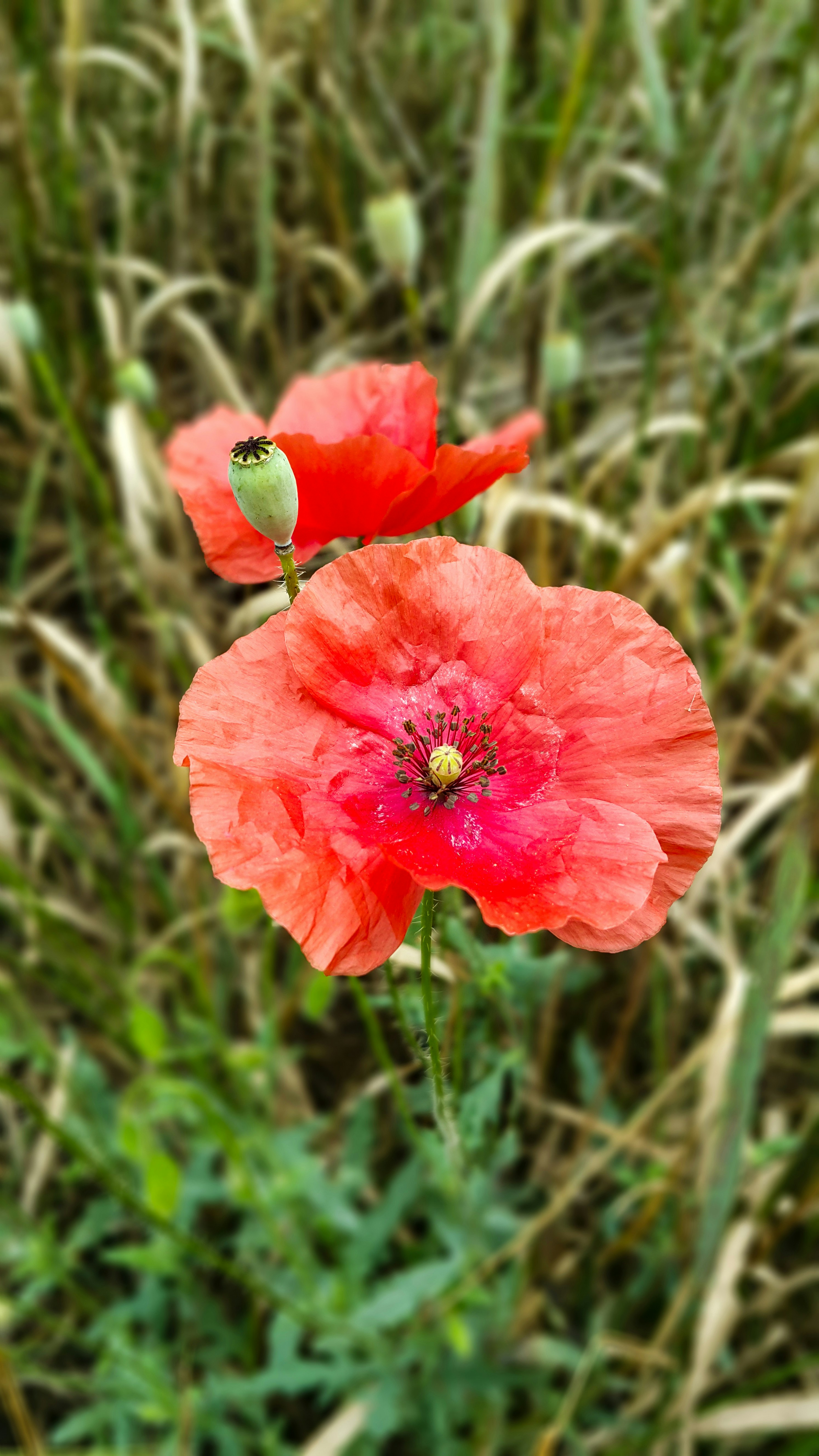Photo by obv_design