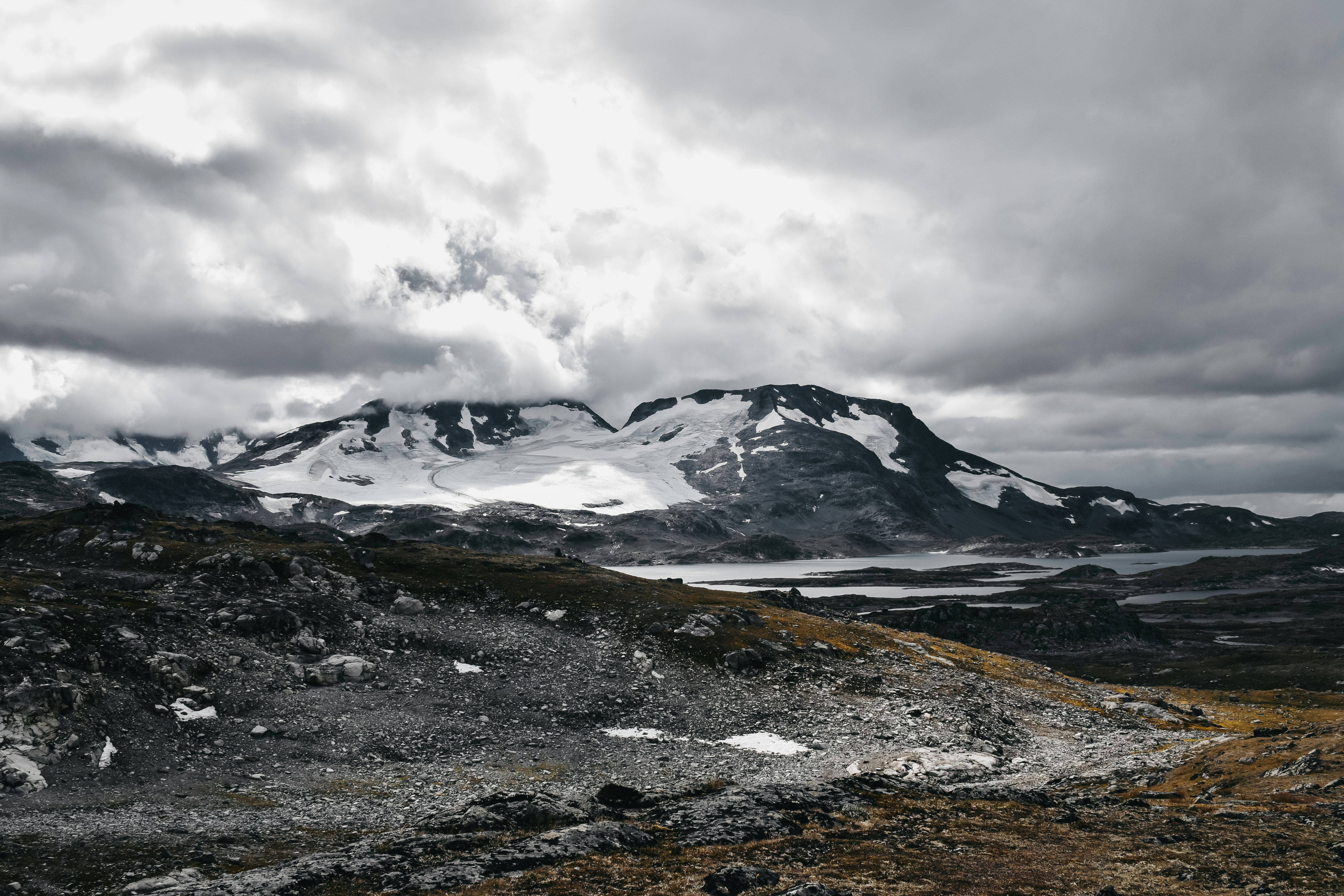 Photo by darya_tryfanava