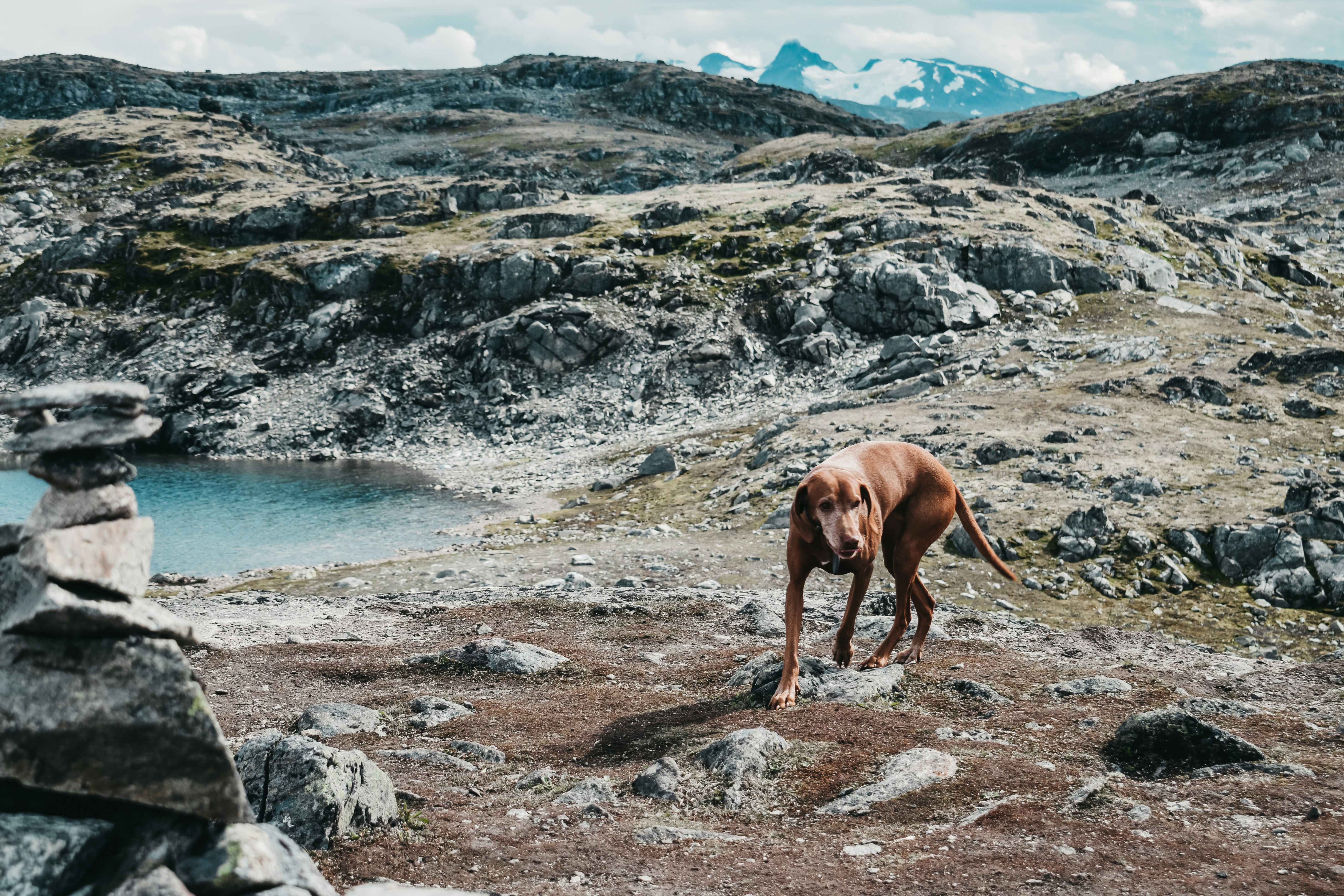 Photo by darya_tryfanava