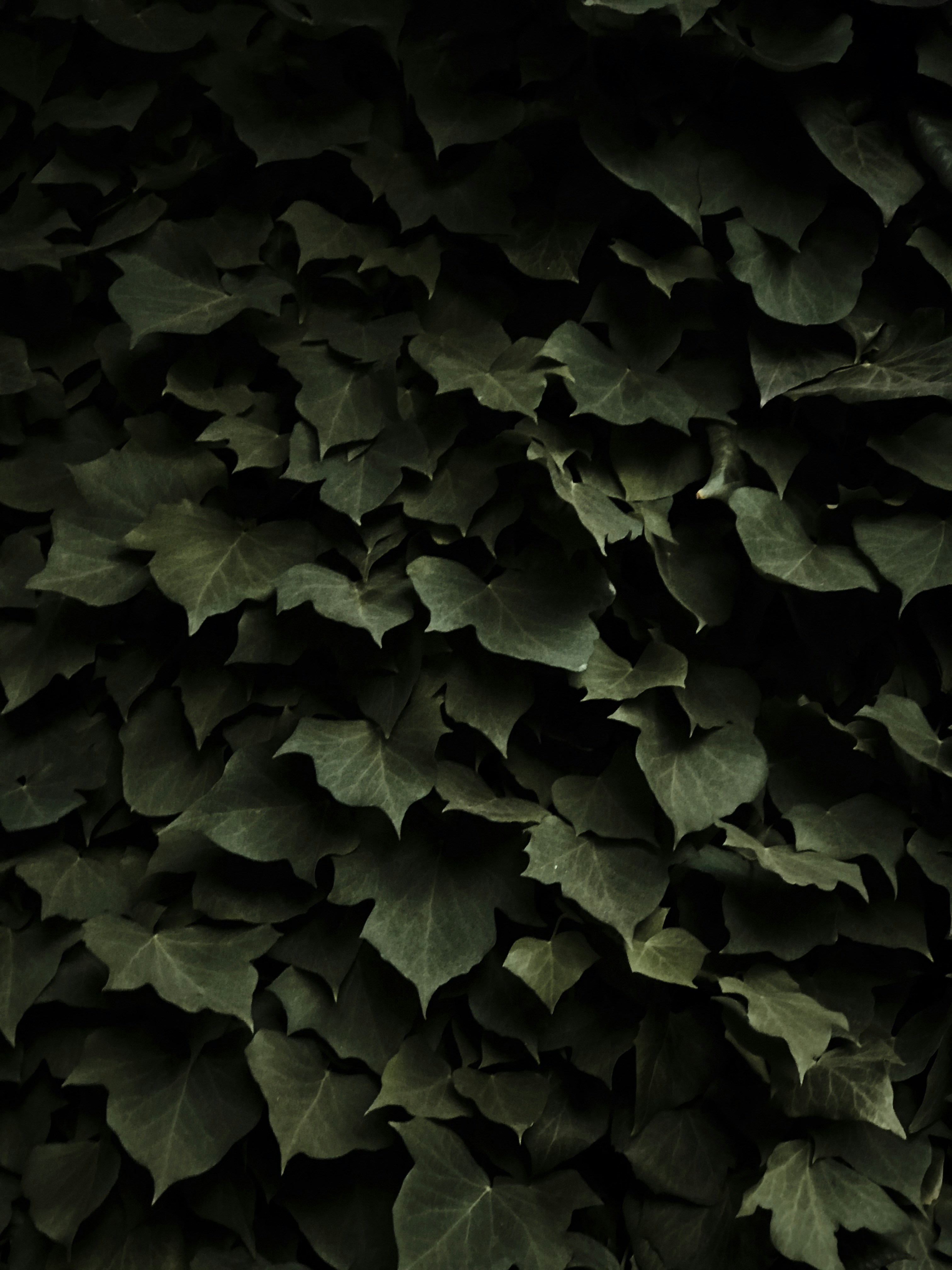 Photo by jordankgraff