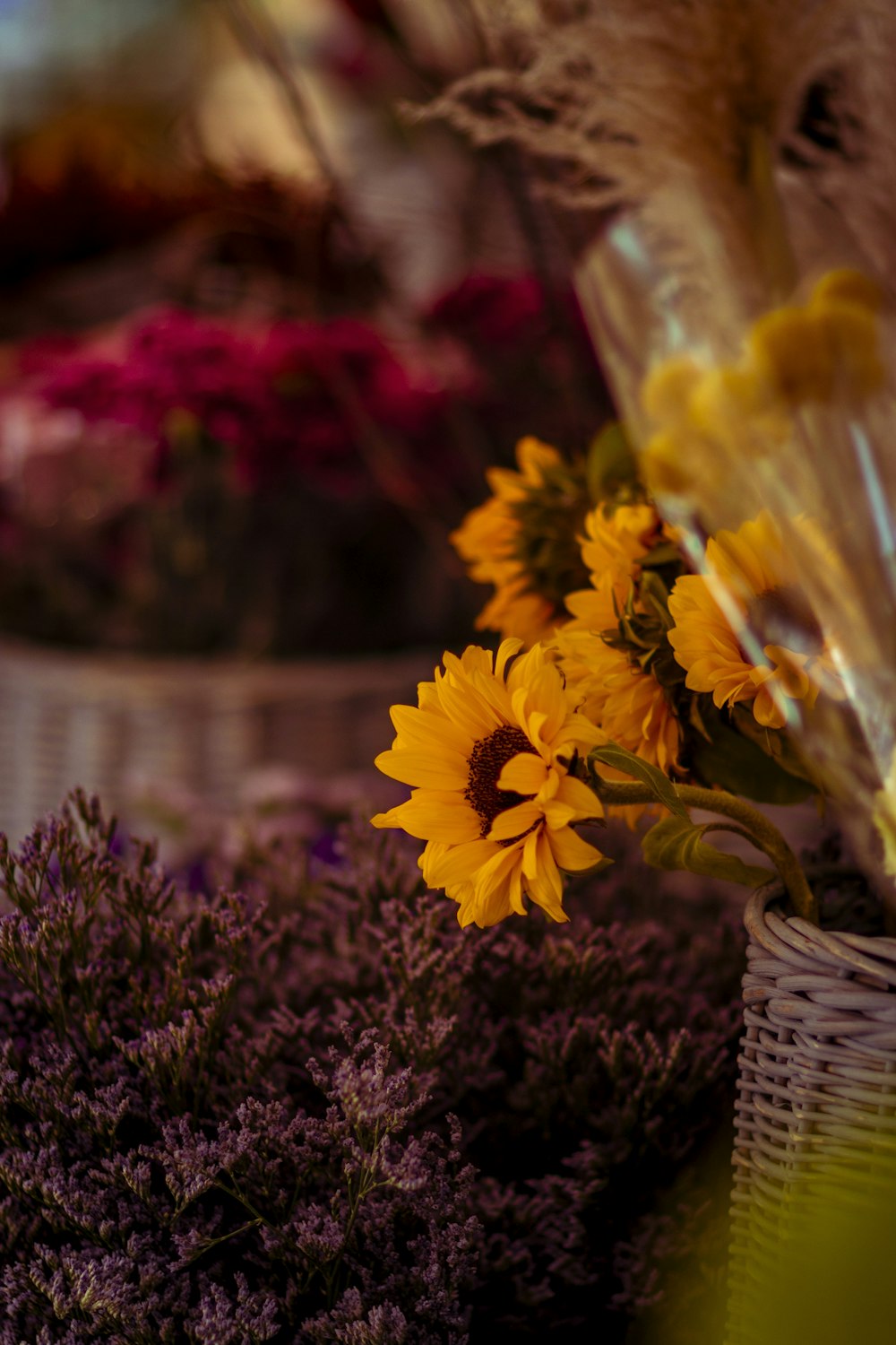 yellow sunflowers