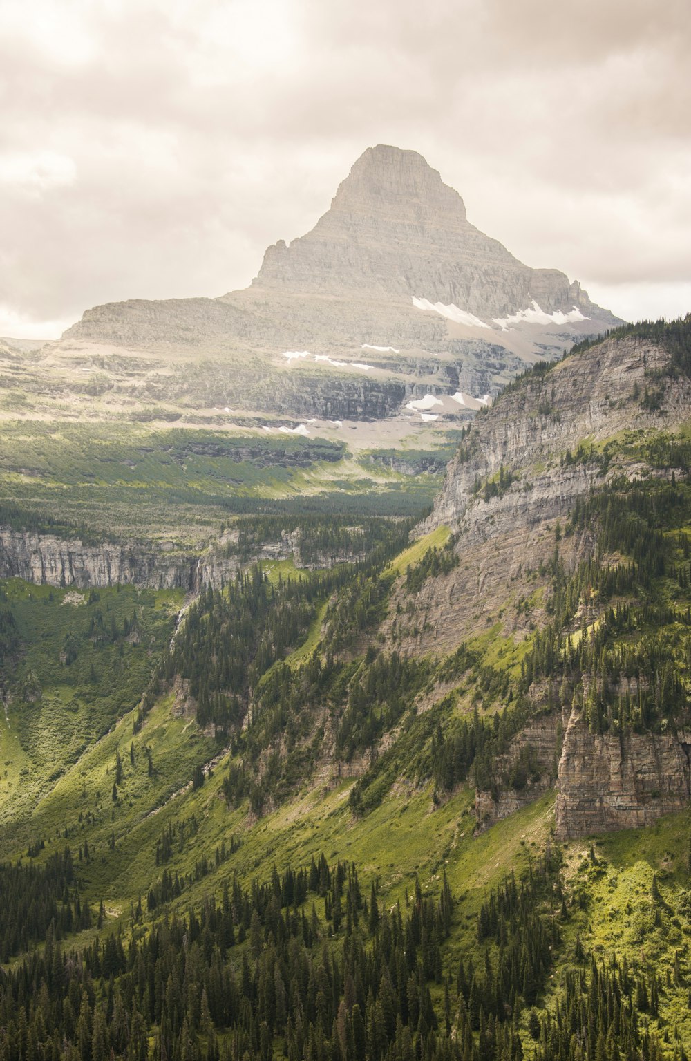 green trees and mountains